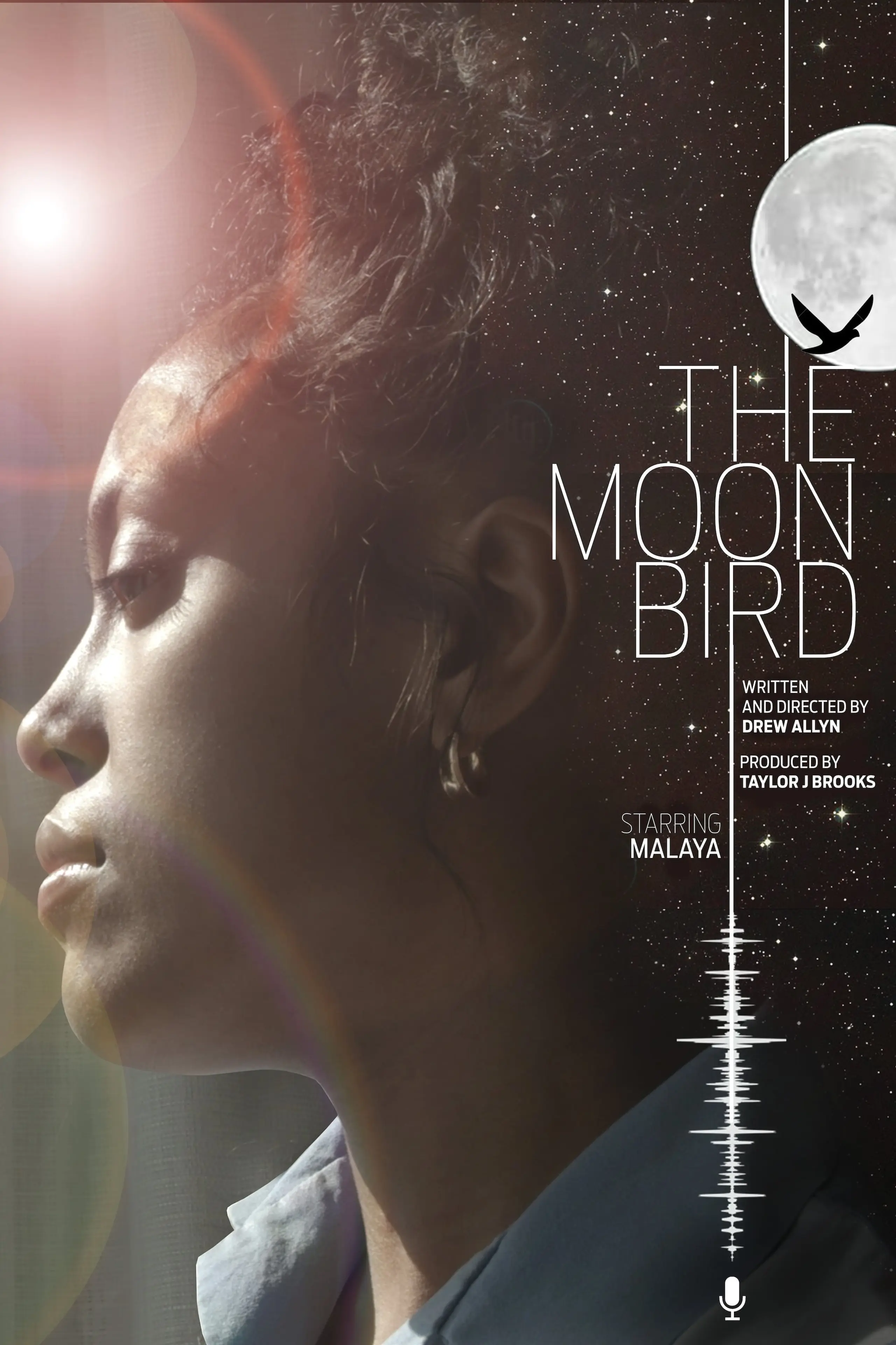 The Moon Bird