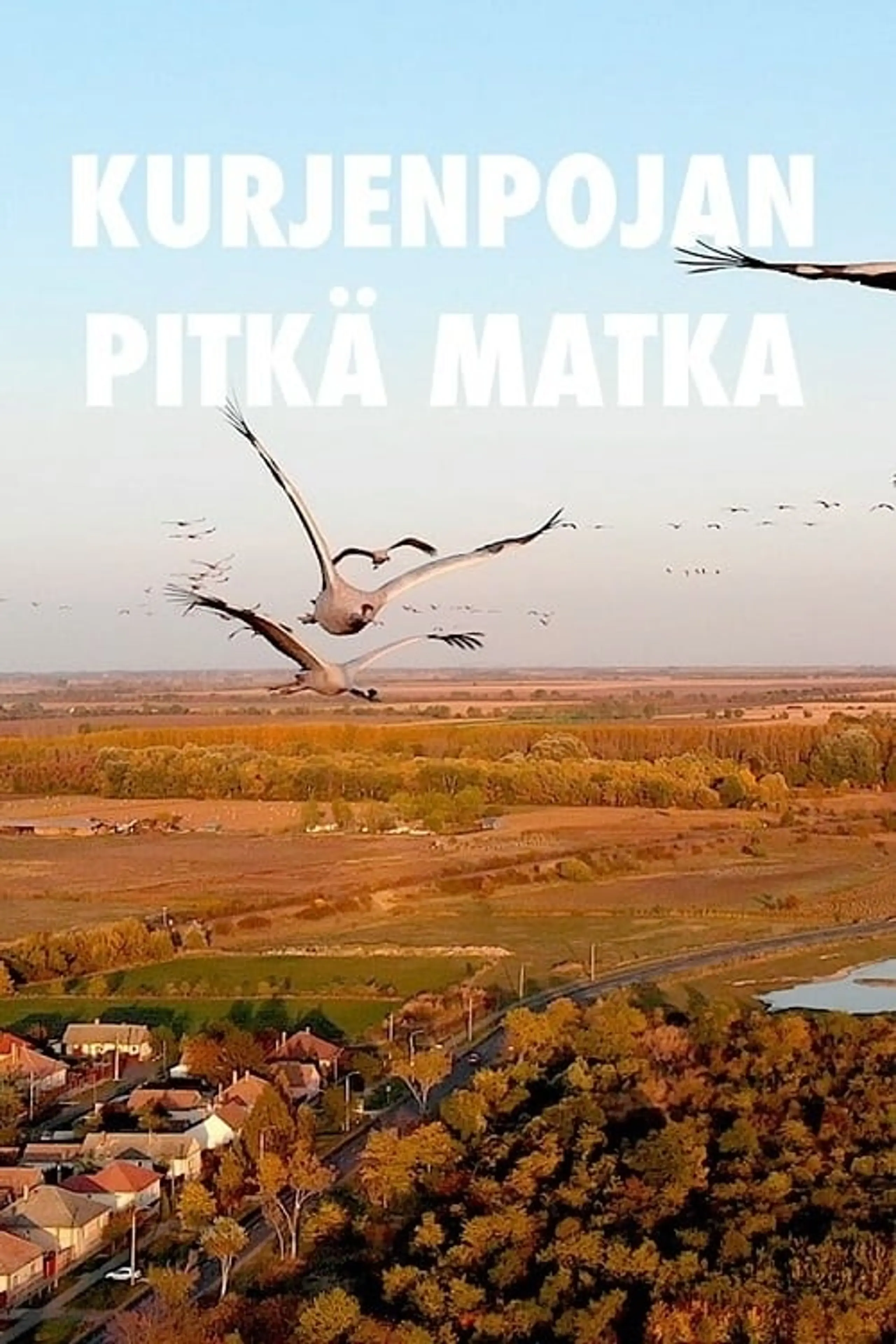 Kurjenpojan pitkä matka