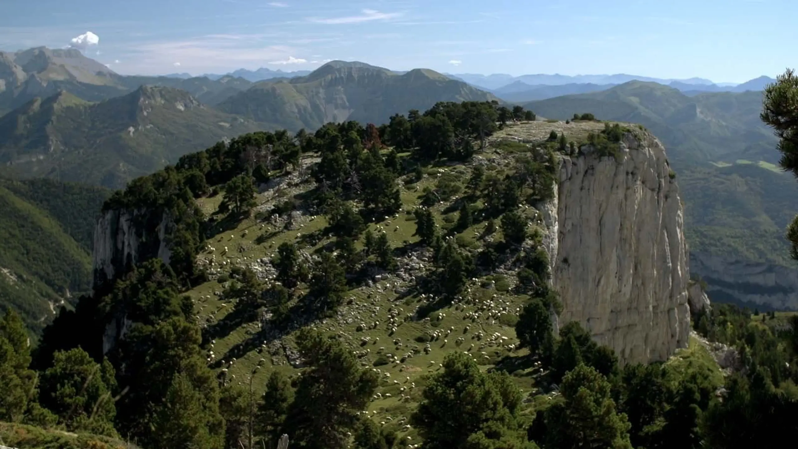 La métaphysique du berger