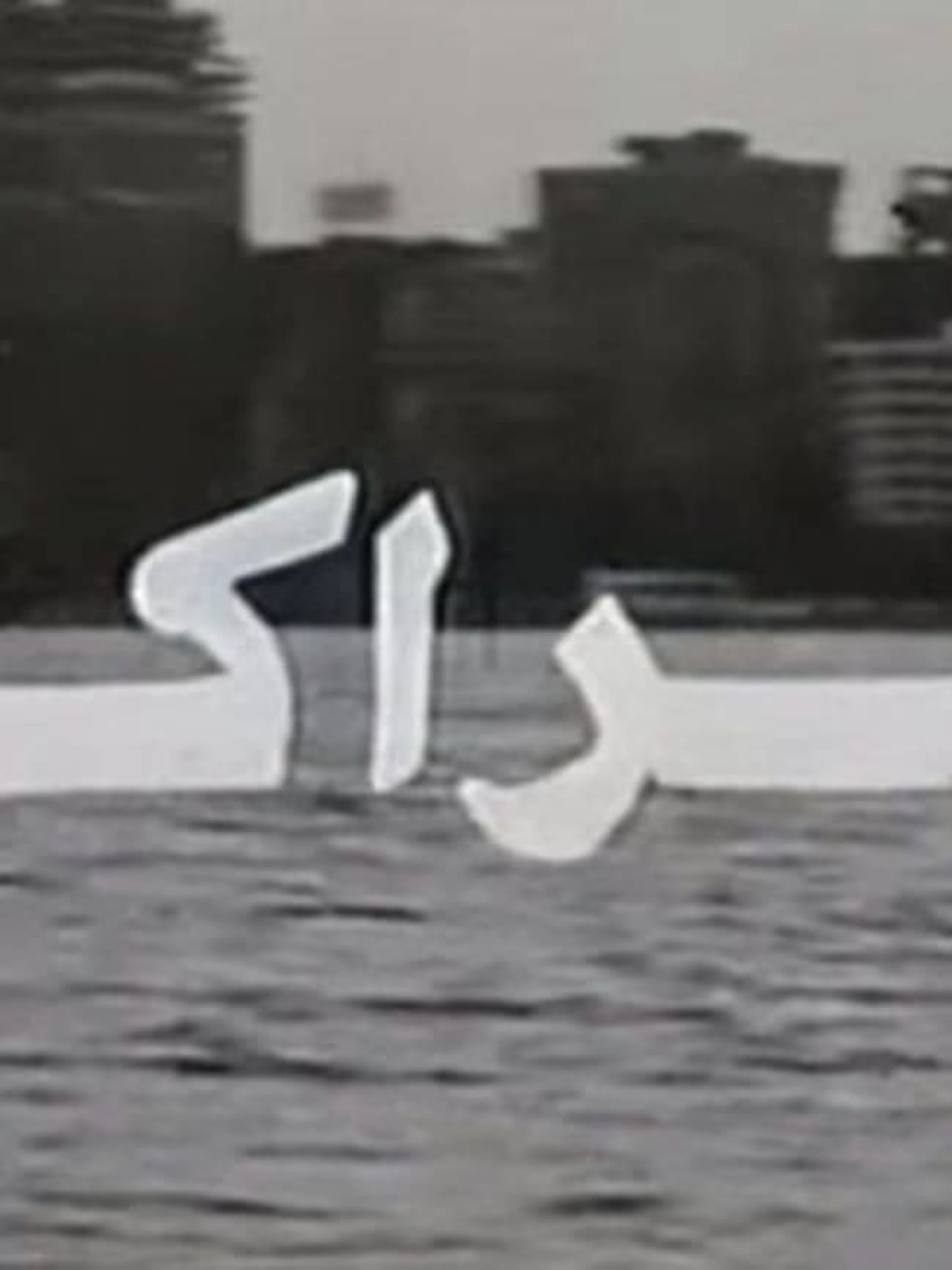 المراكبي