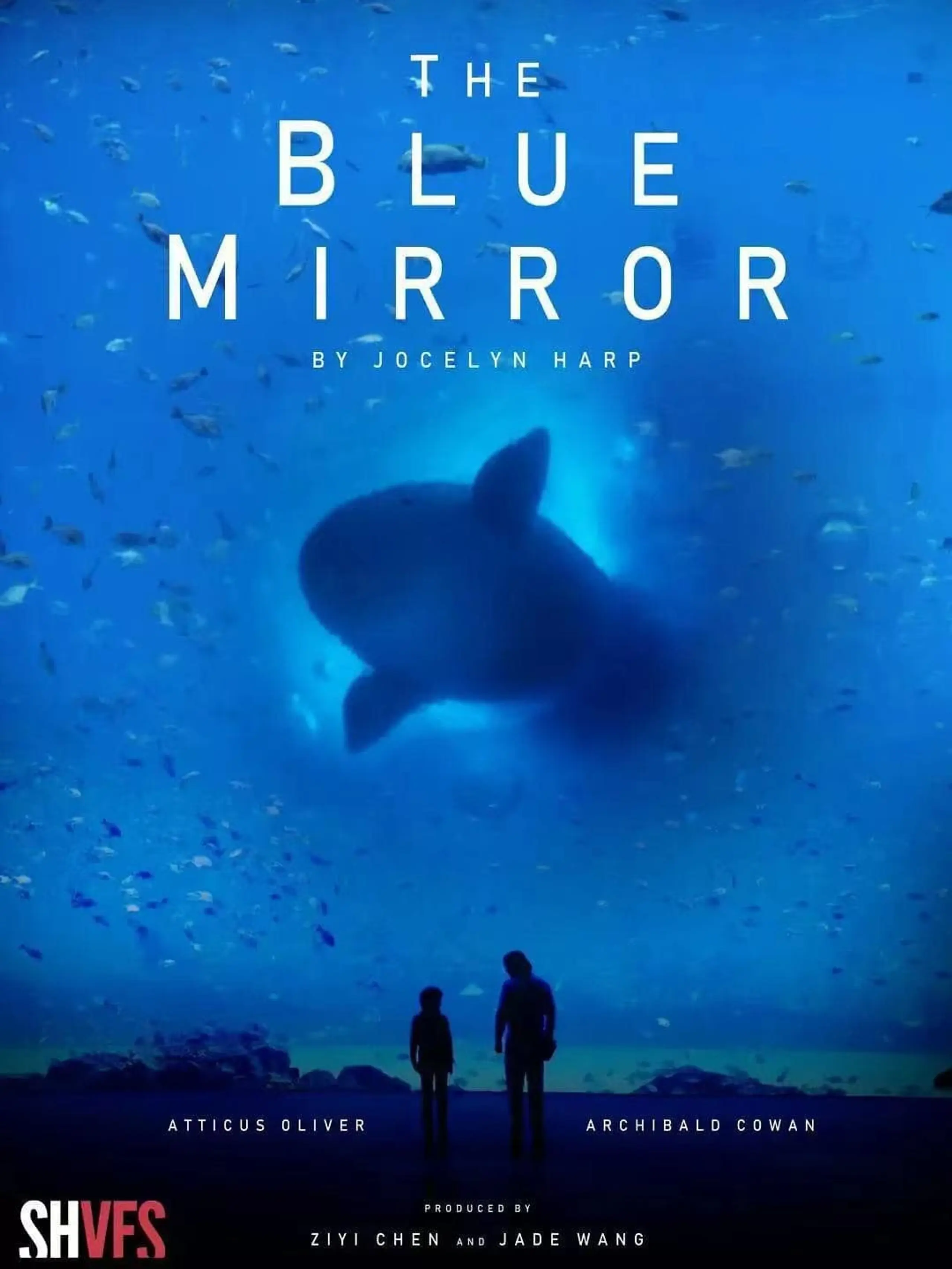 The Blue Mirror