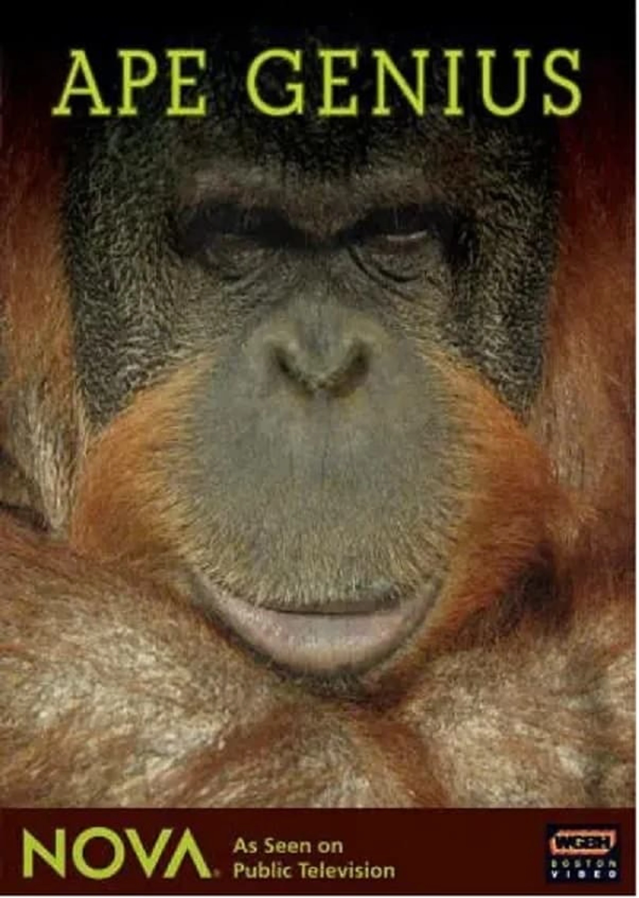 National Geographic Channel Ape Genius