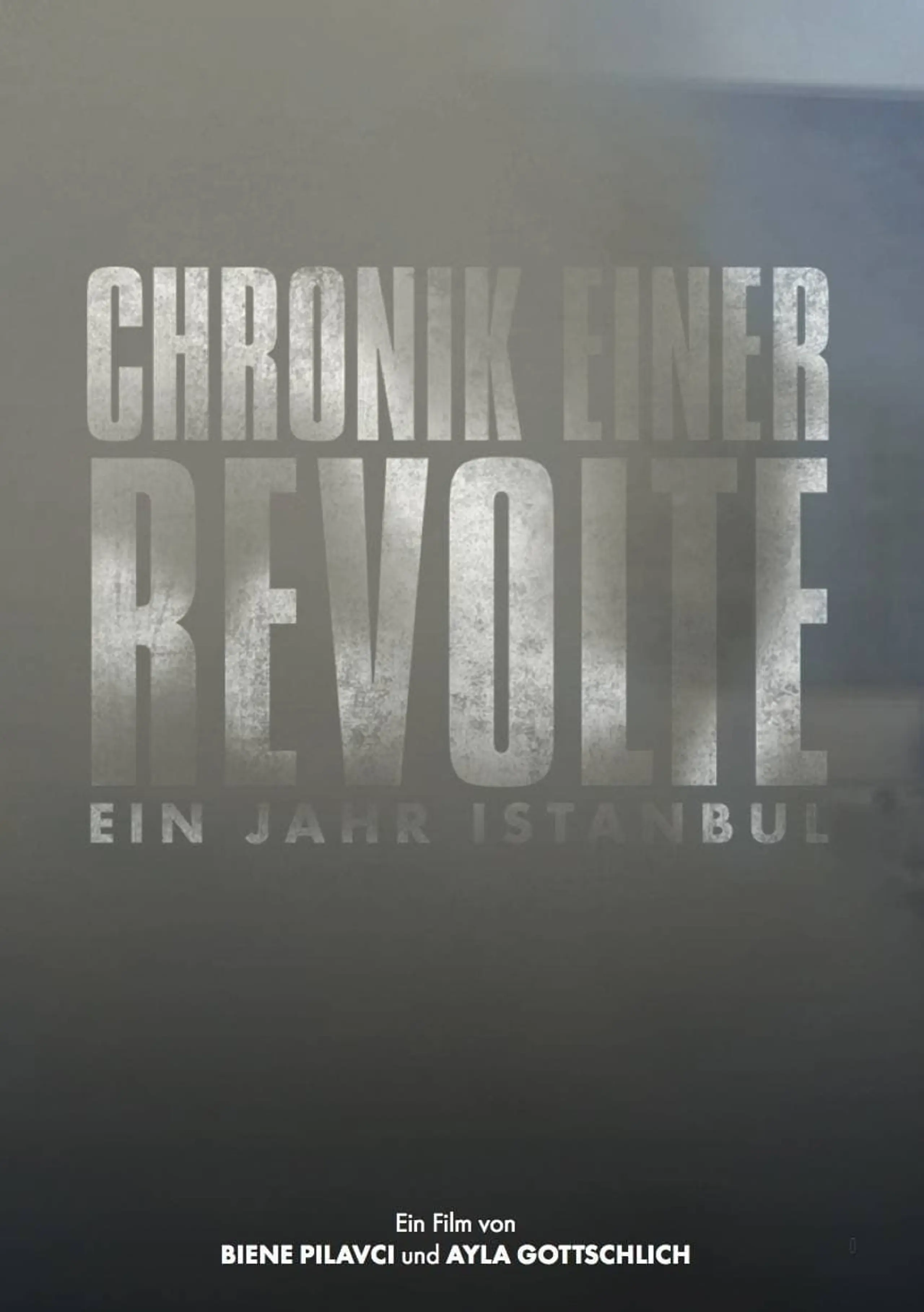 Chronik einer Revolte - Ein Jahr Istanbul