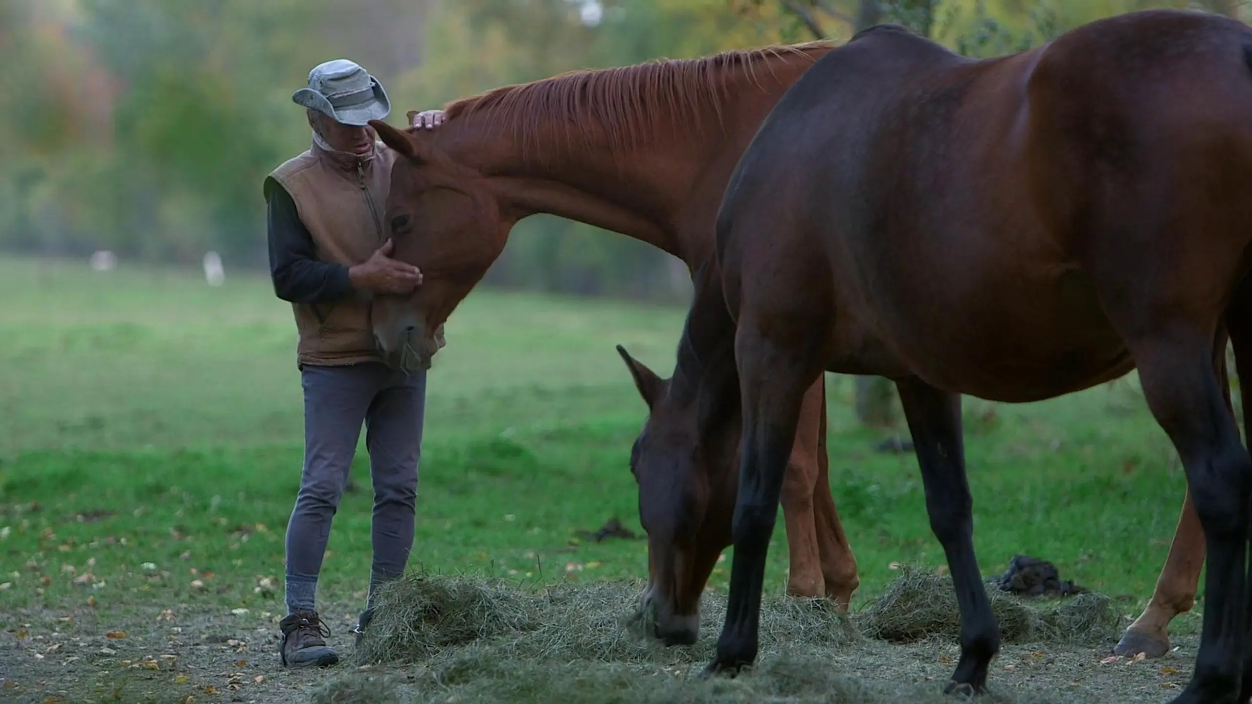 Un cavalier, un rêve, Boucane