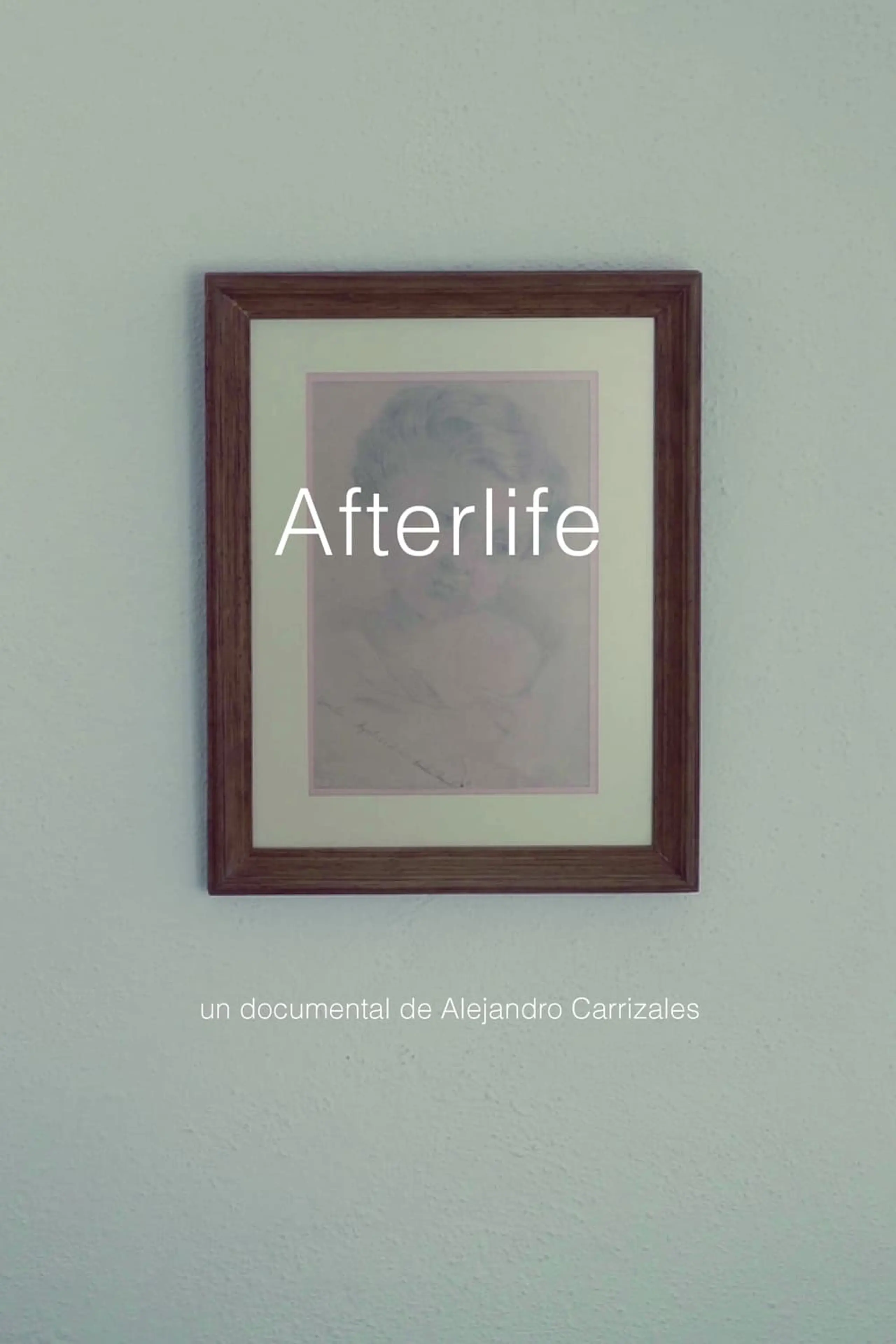 Afterlife