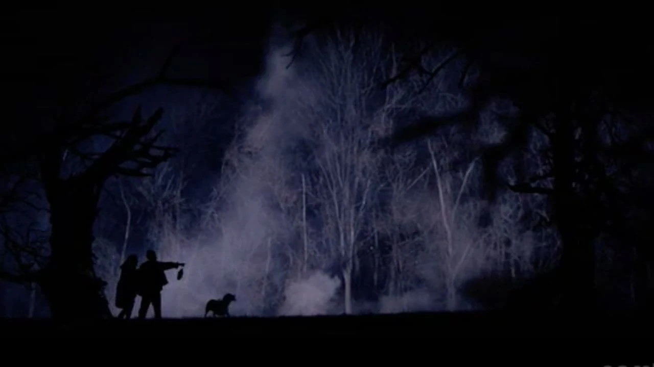 The Hollow Tree