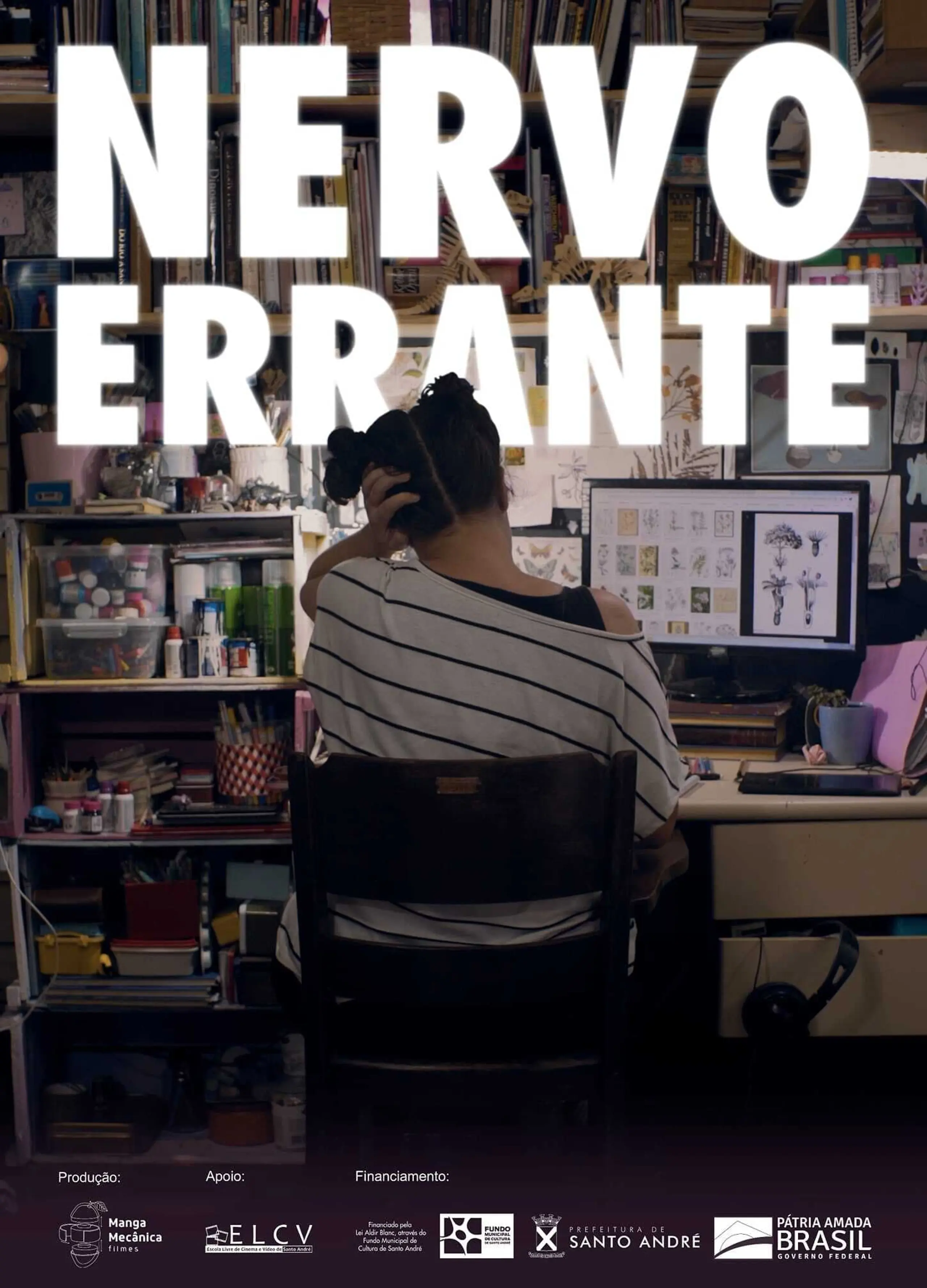 Nervo Errante