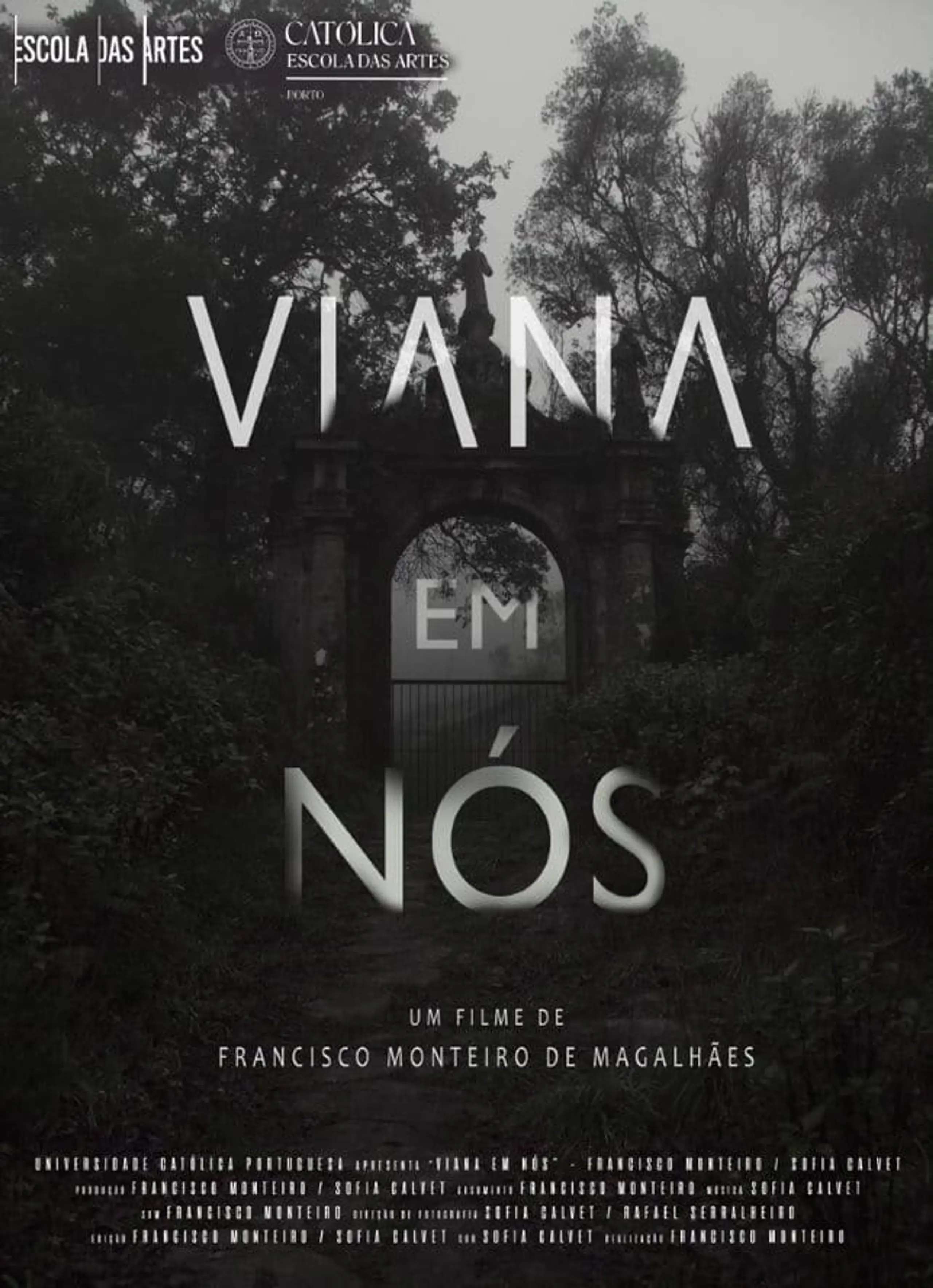 Viana em Nós