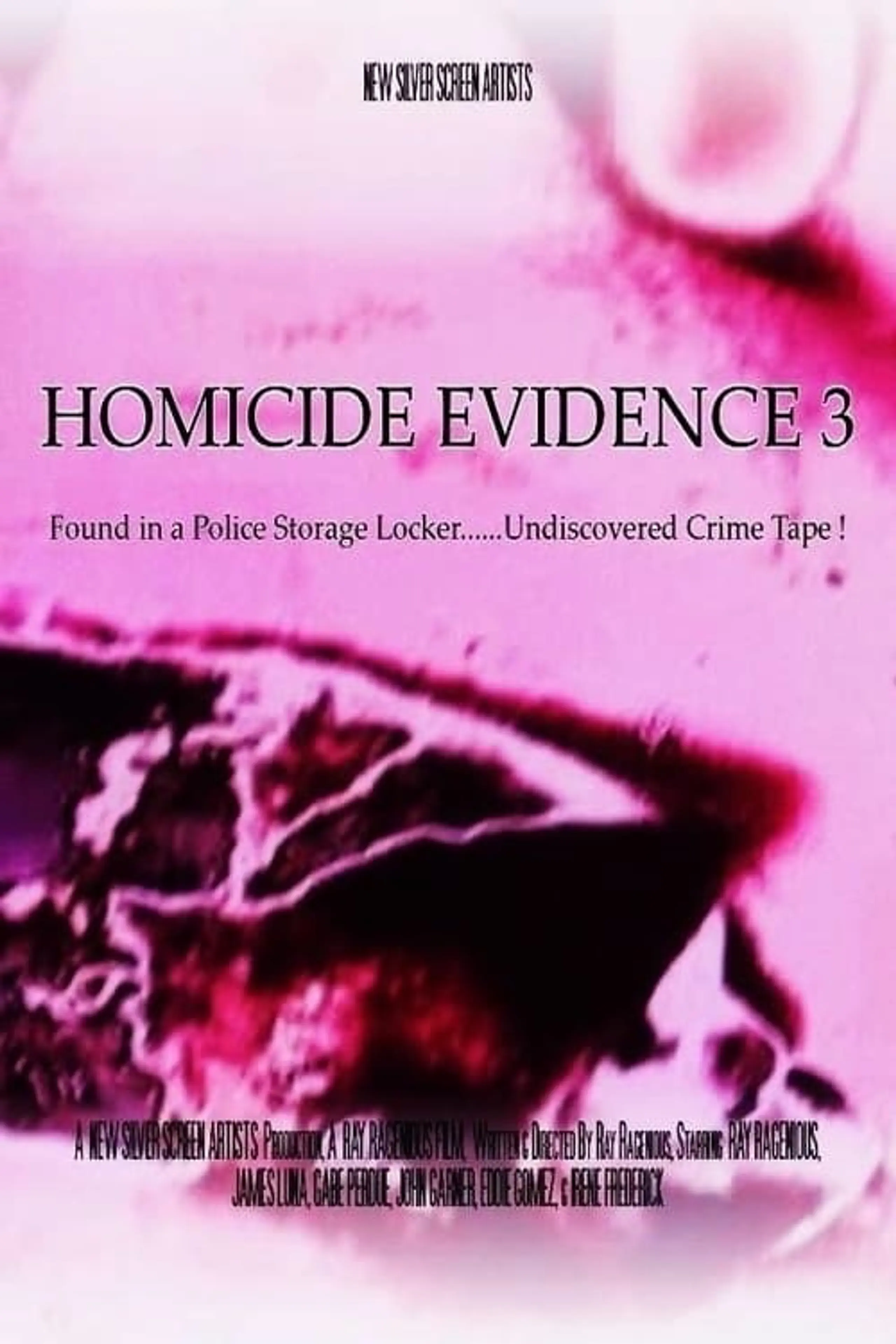 Homicide Evidence 3