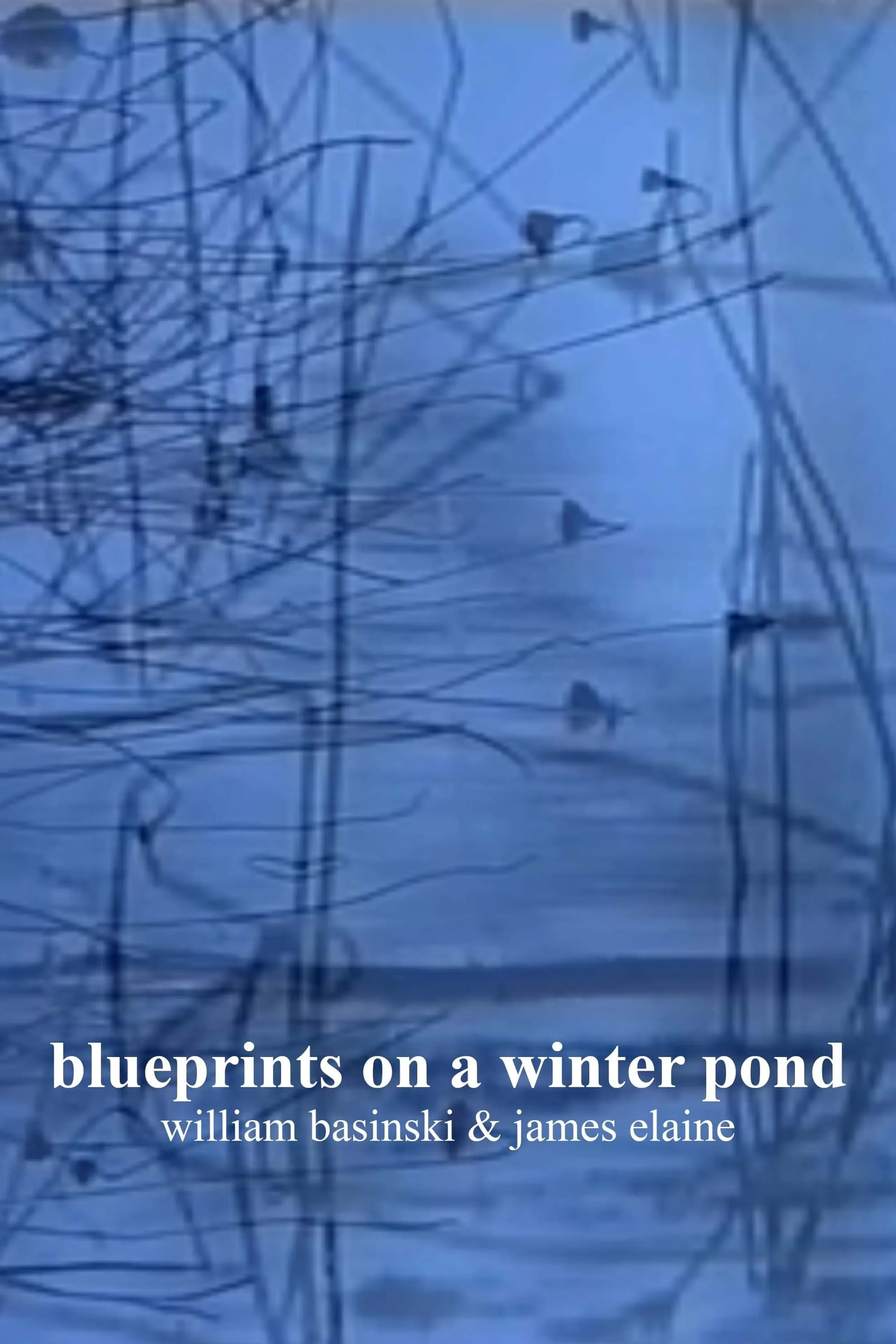 blueprints on a winter pond