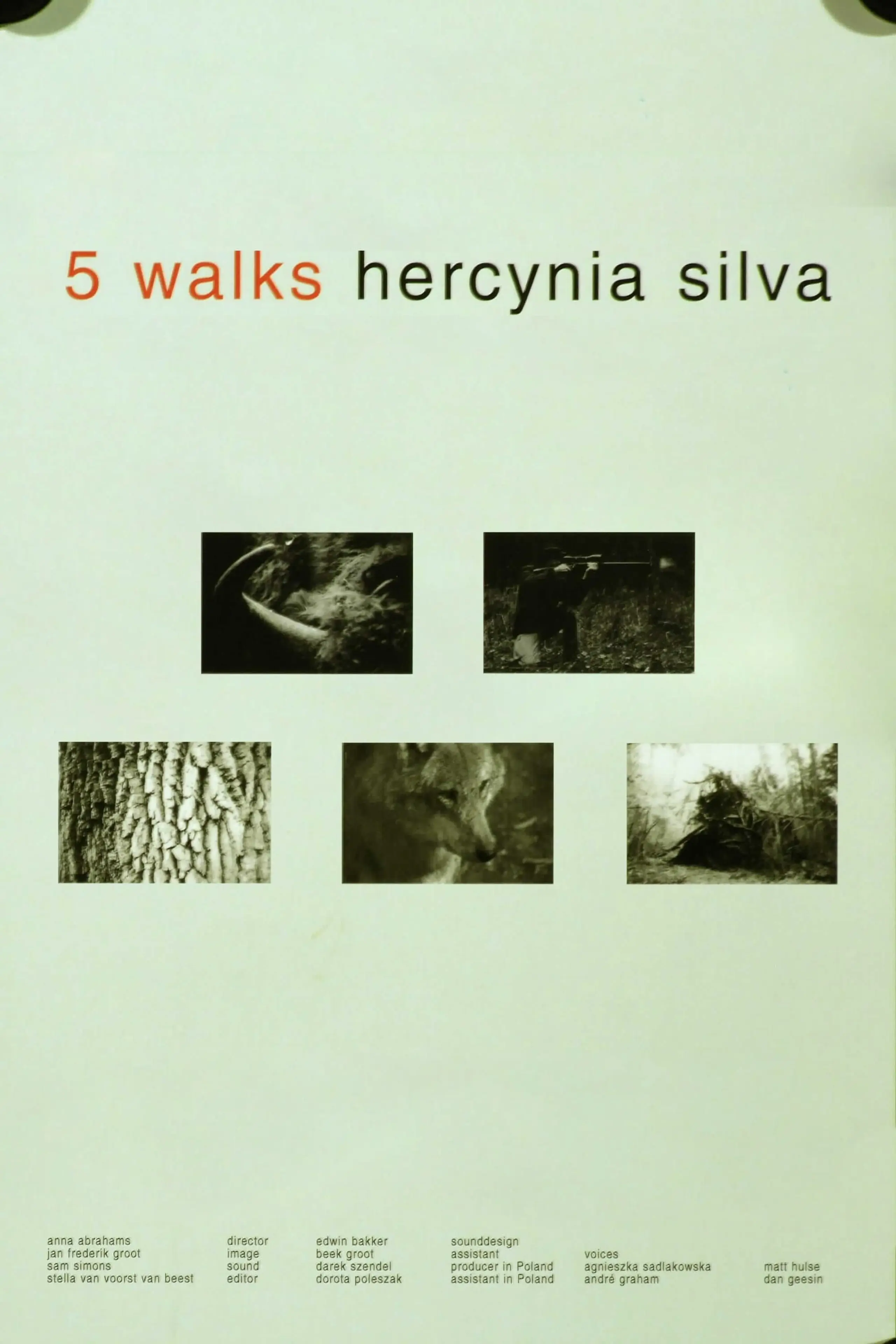 5 Walks. Hercynia Silva