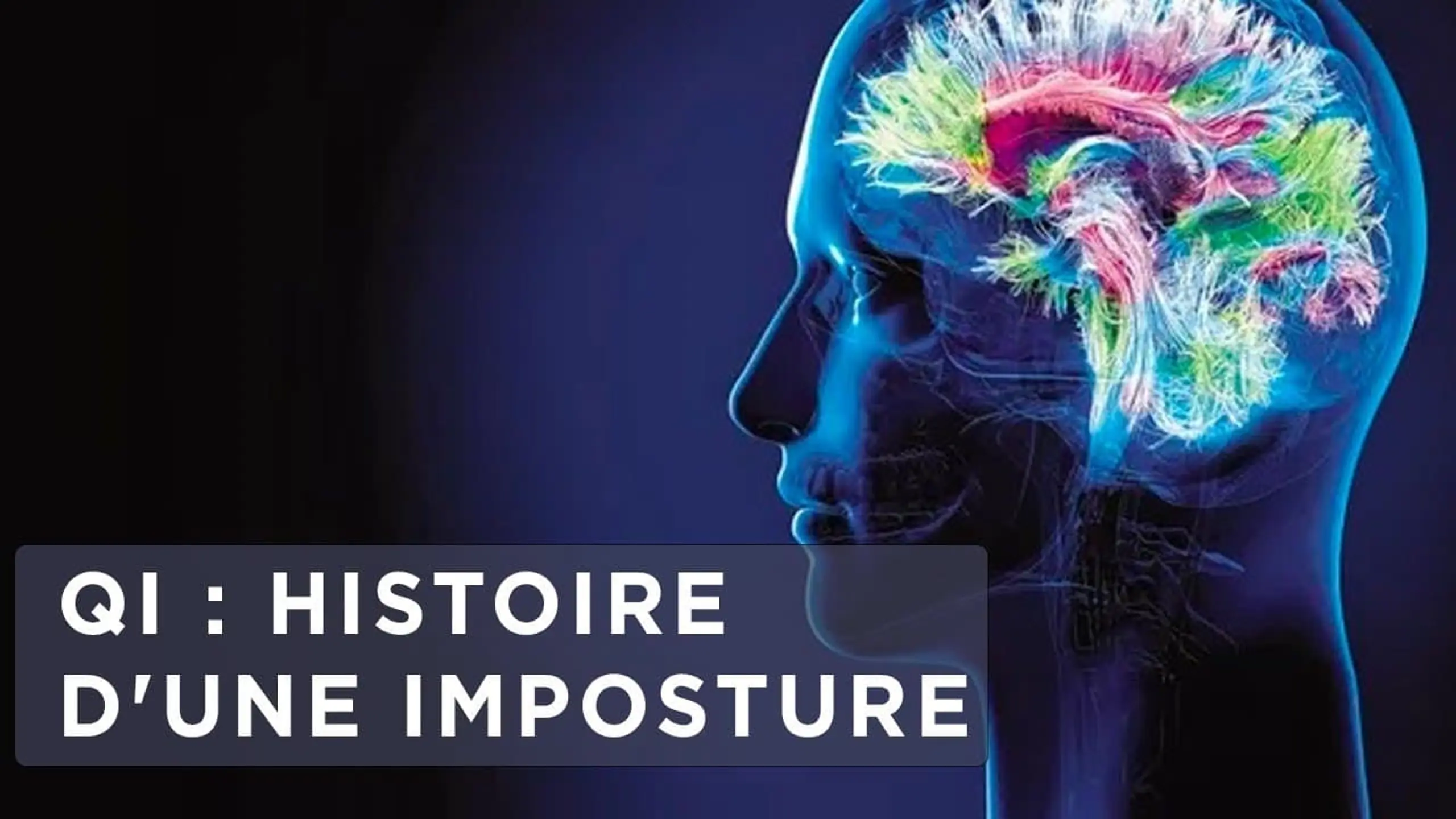 QI: histoire d'une imposture