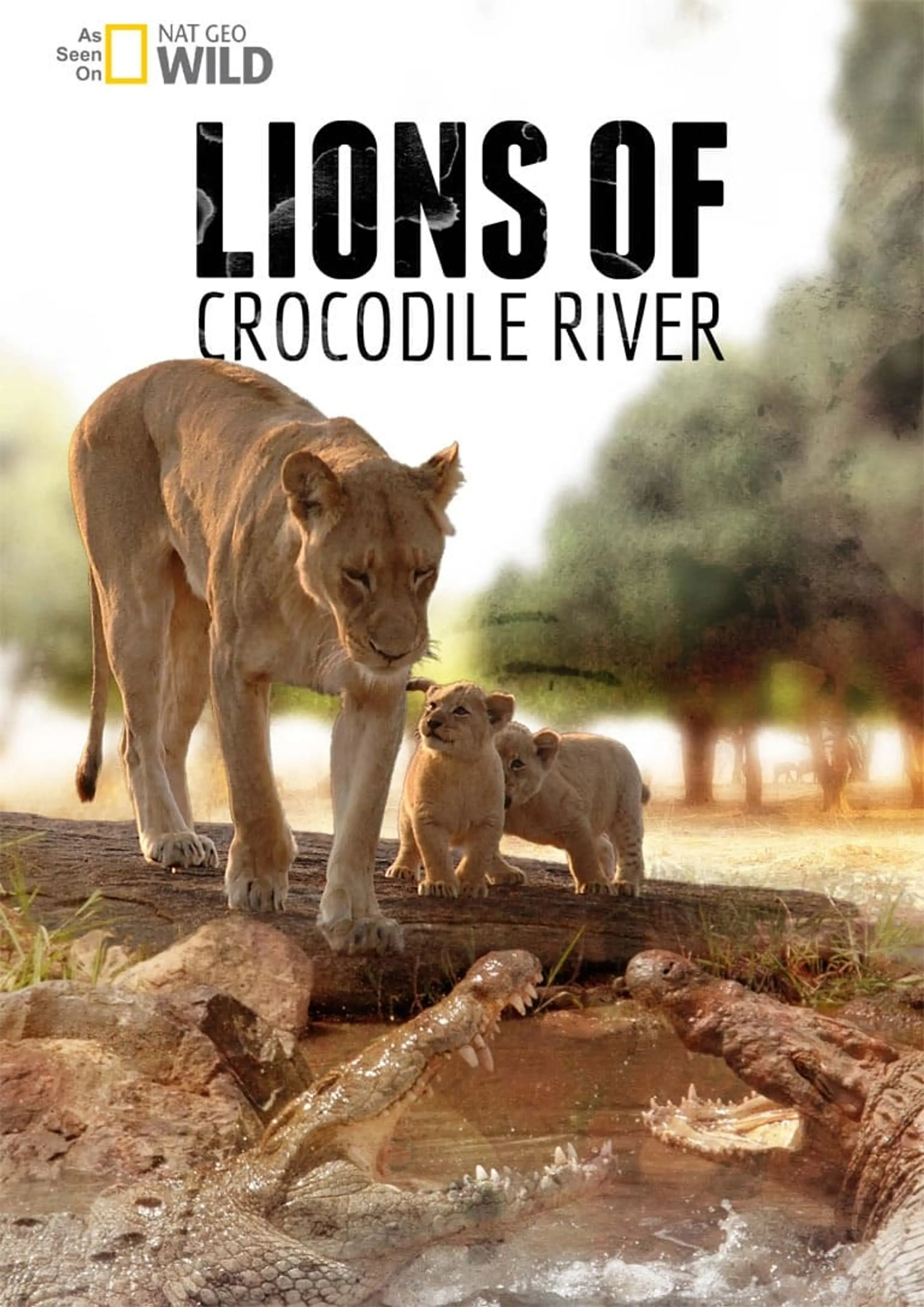 Lions of Crocodile River