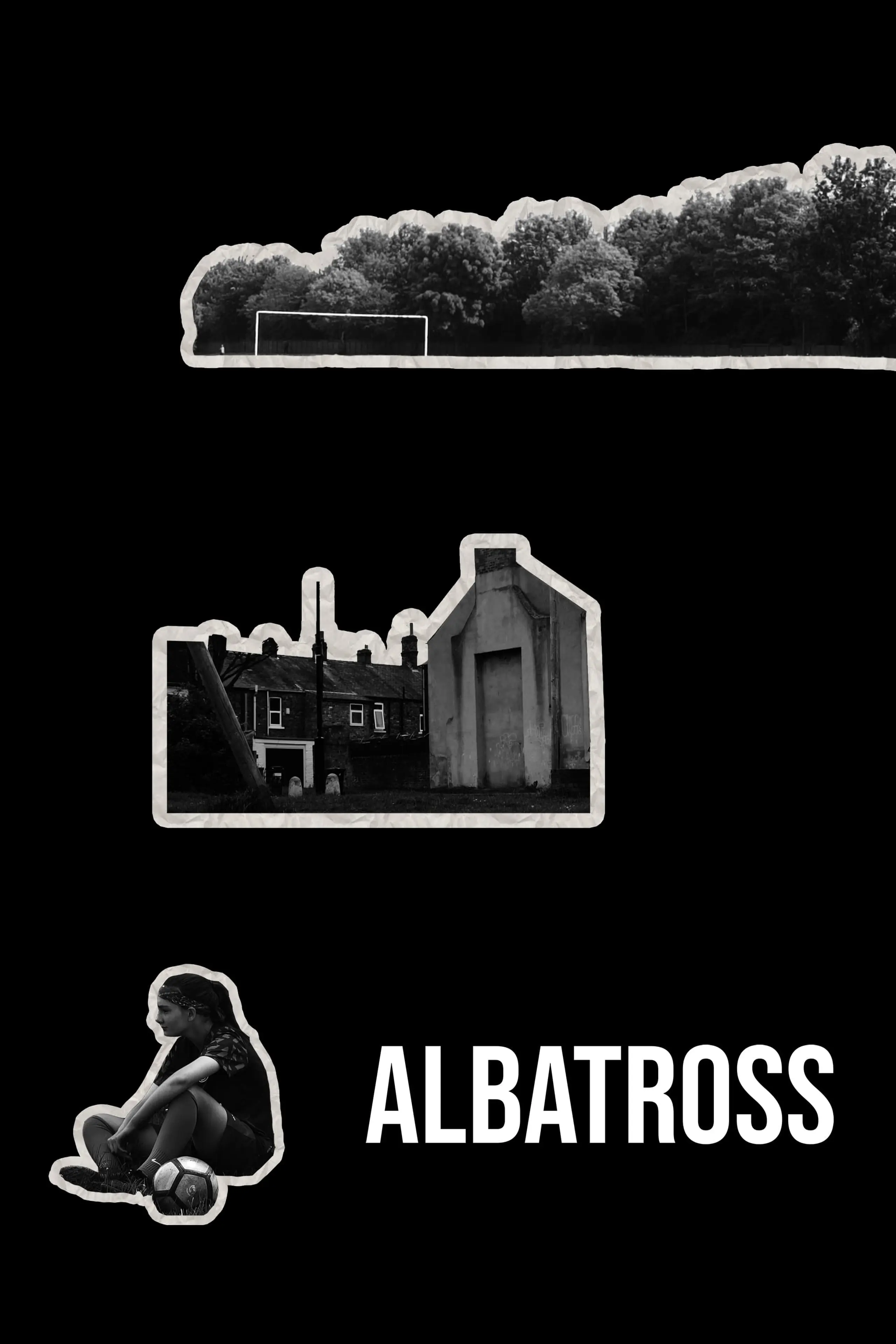 Albatross