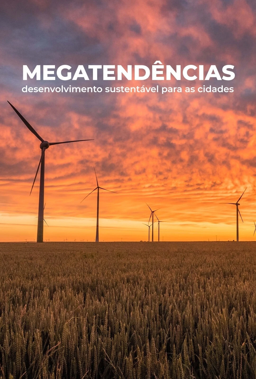 Megatendências: Desenvolvimento Sustentável para Cidades