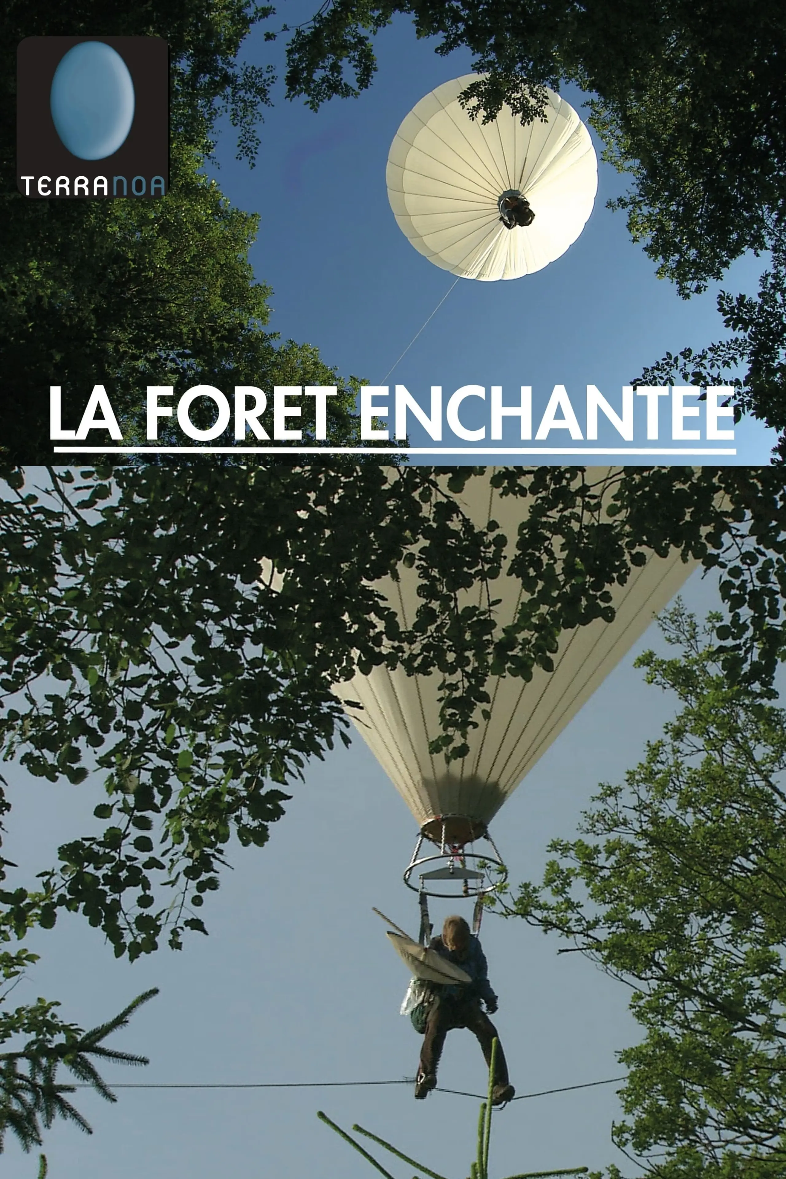 La foret enchantée