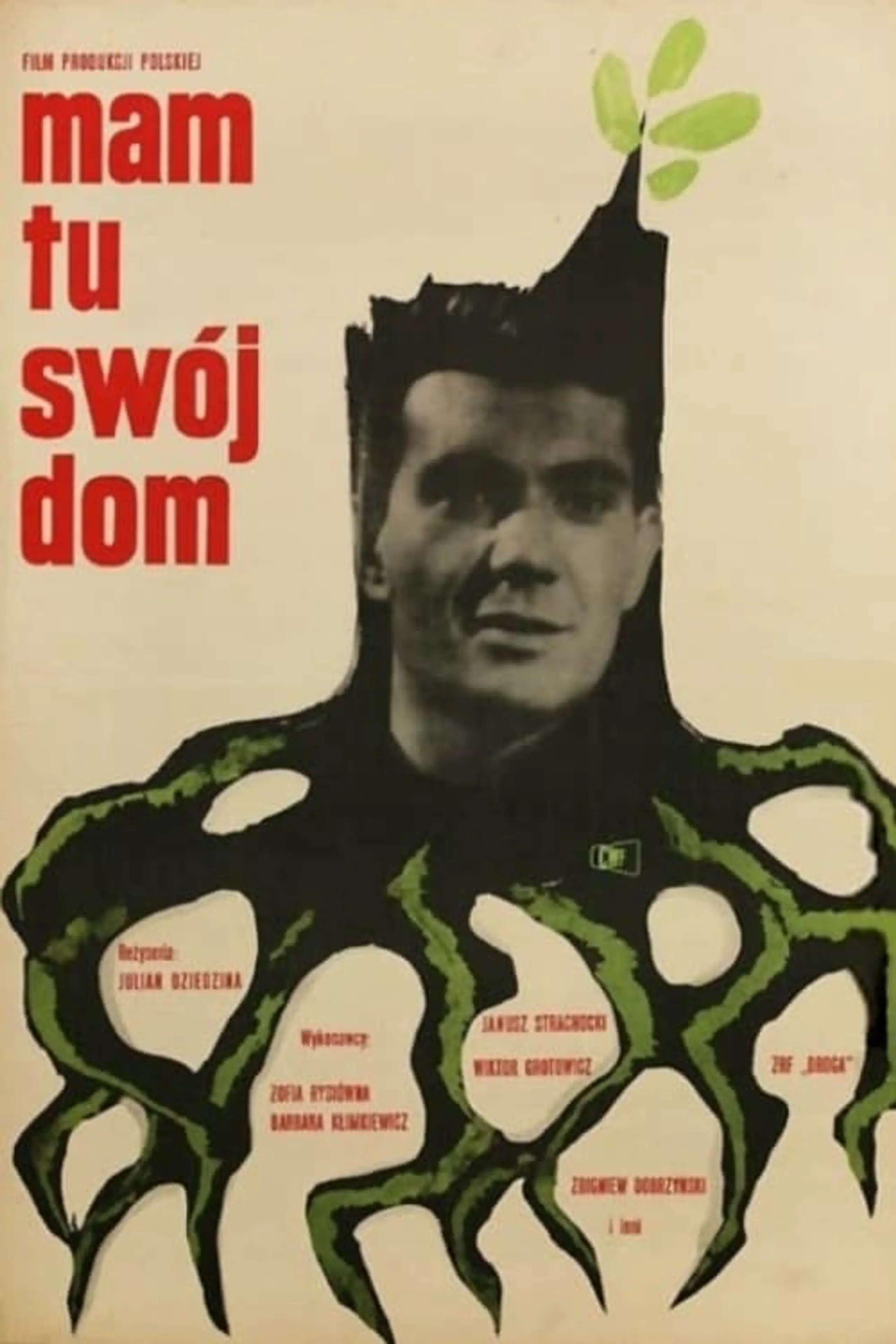 Mam tu swój dom