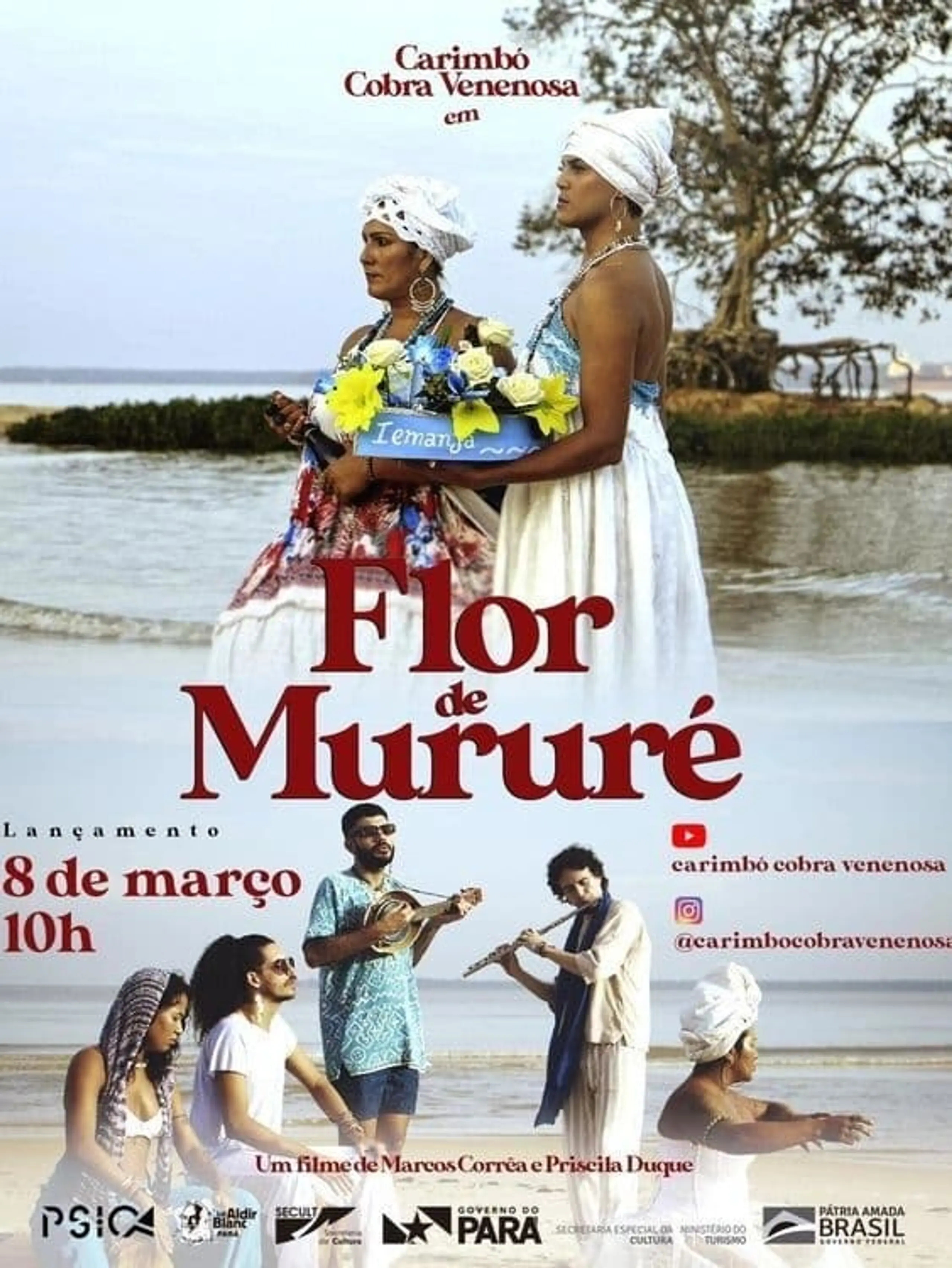 Flor de Mururé