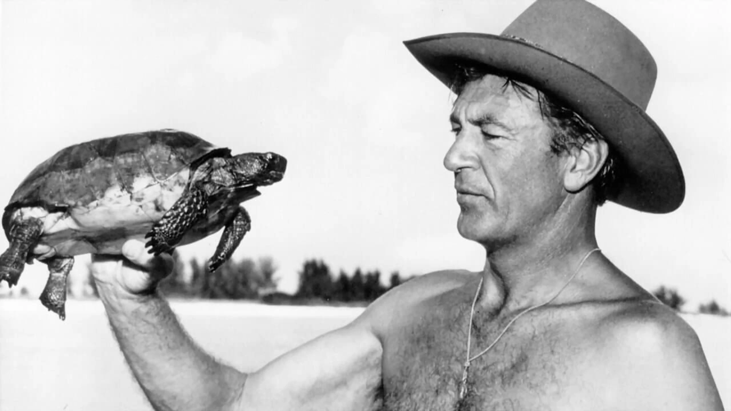 Gary Cooper - Der Unwiderstehliche