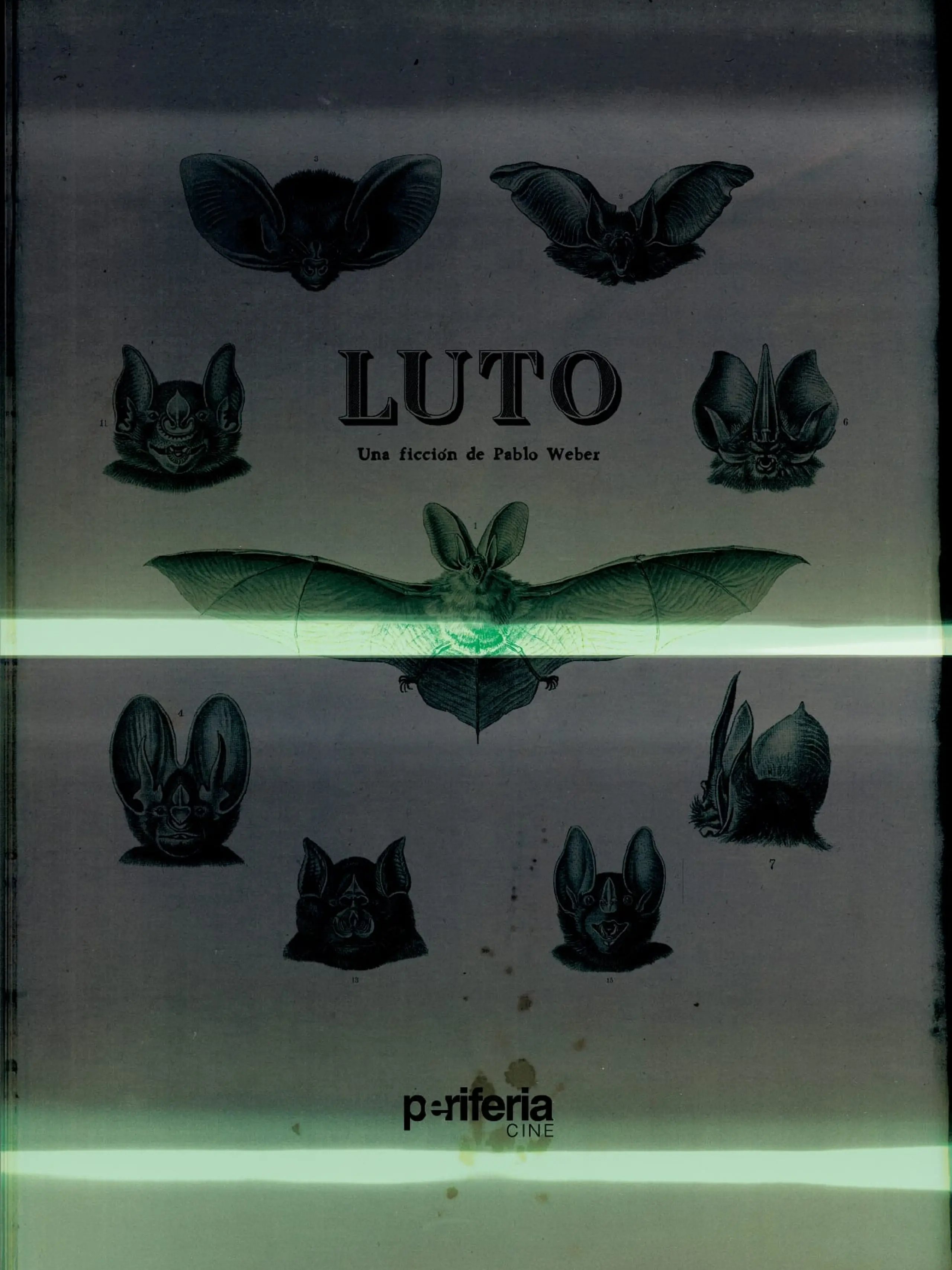 Luto