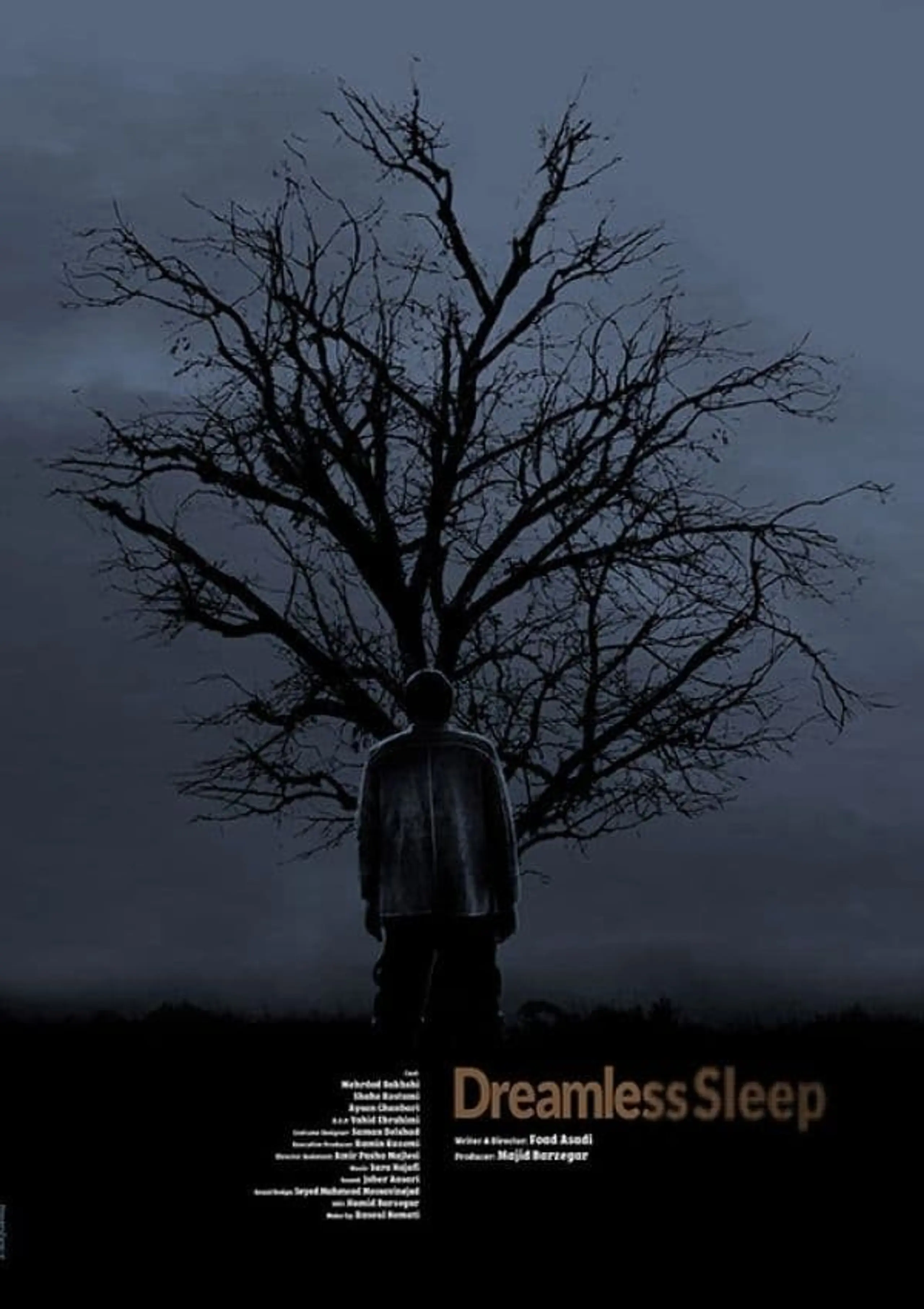 Dreamless Sleep