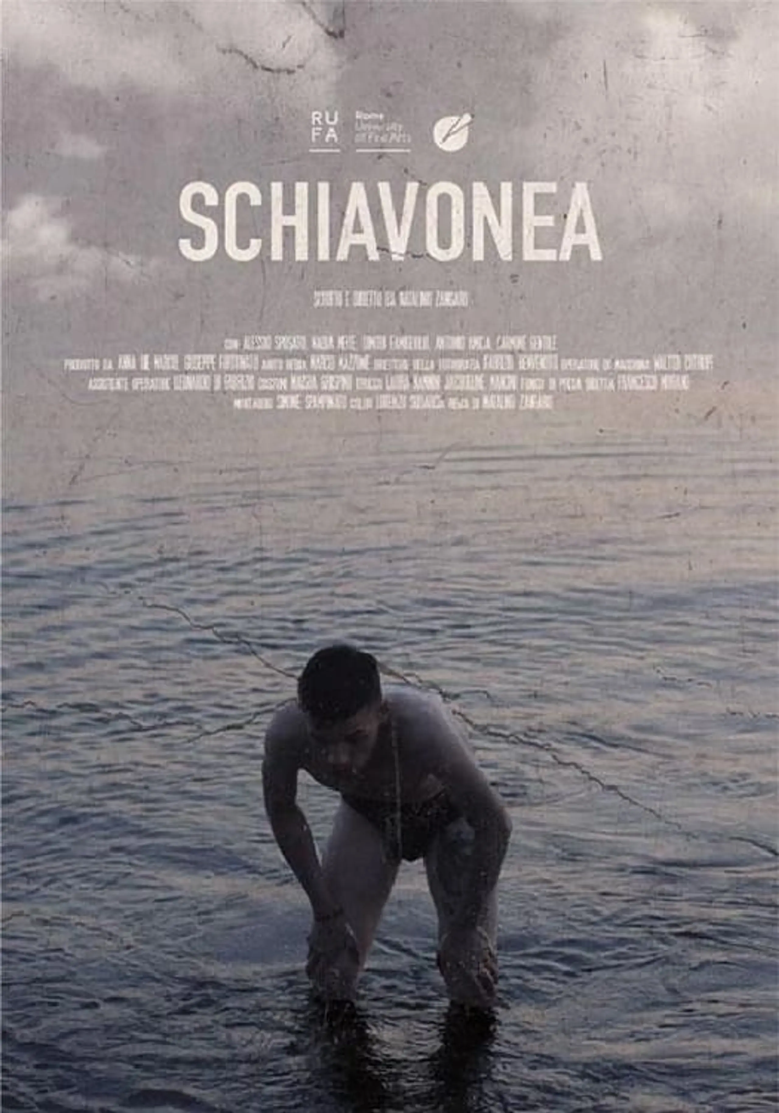 Schiavonea