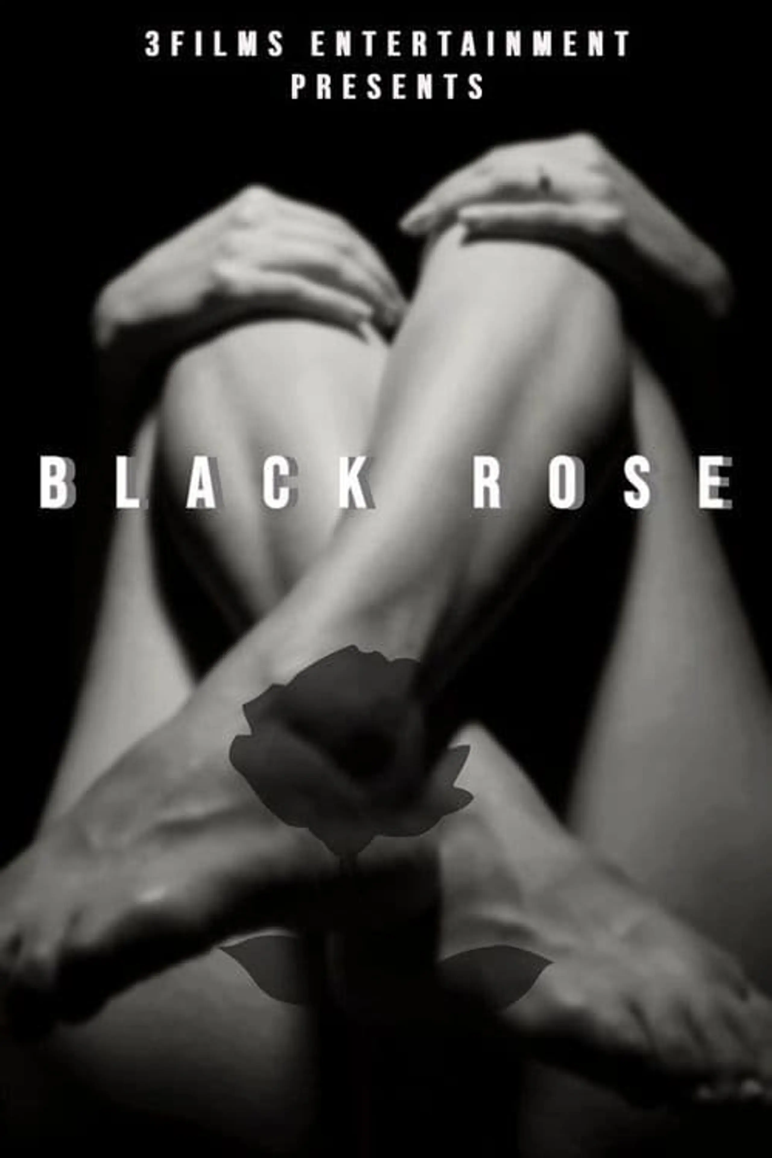 The Black Rose