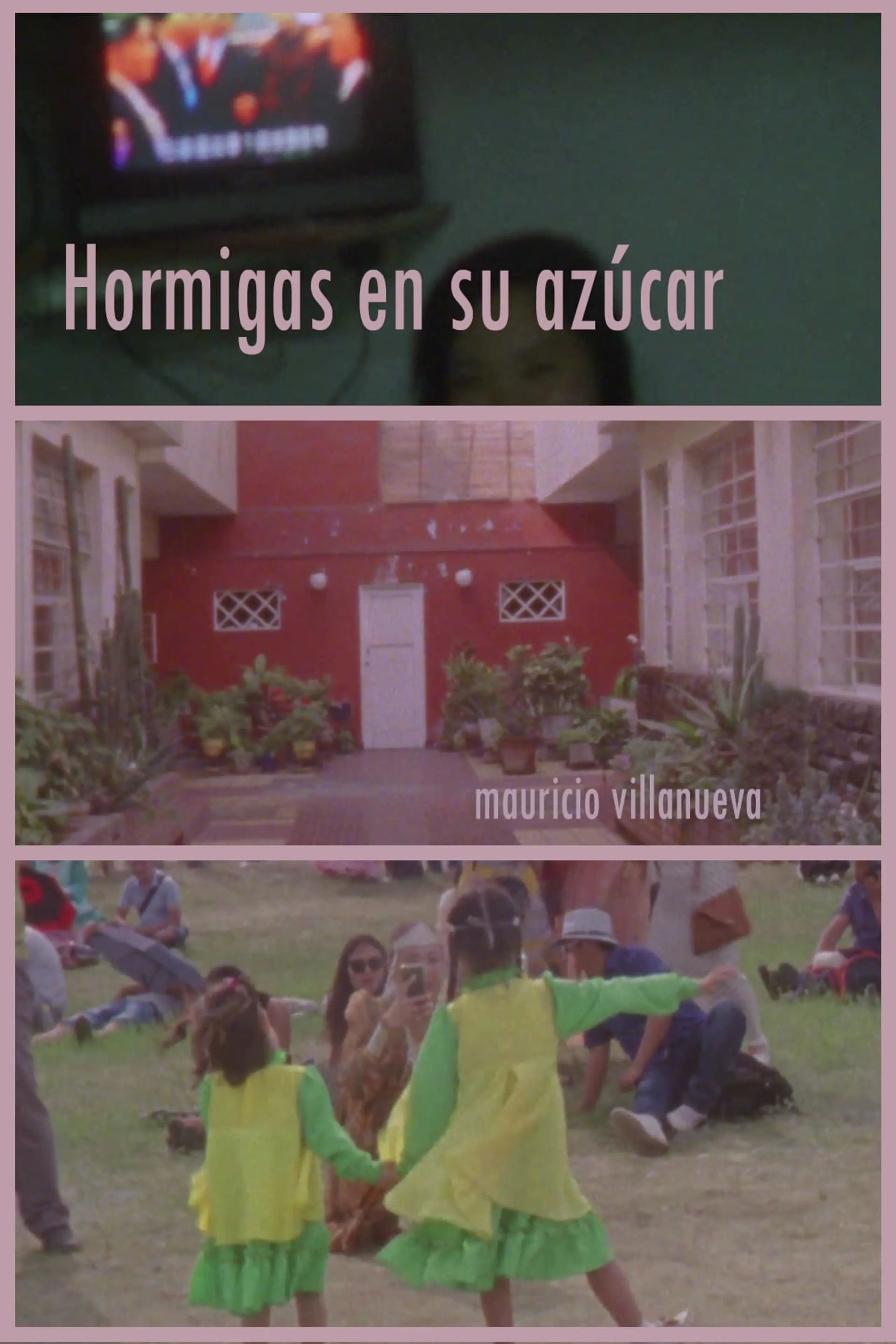 Hormigas en su azúcar