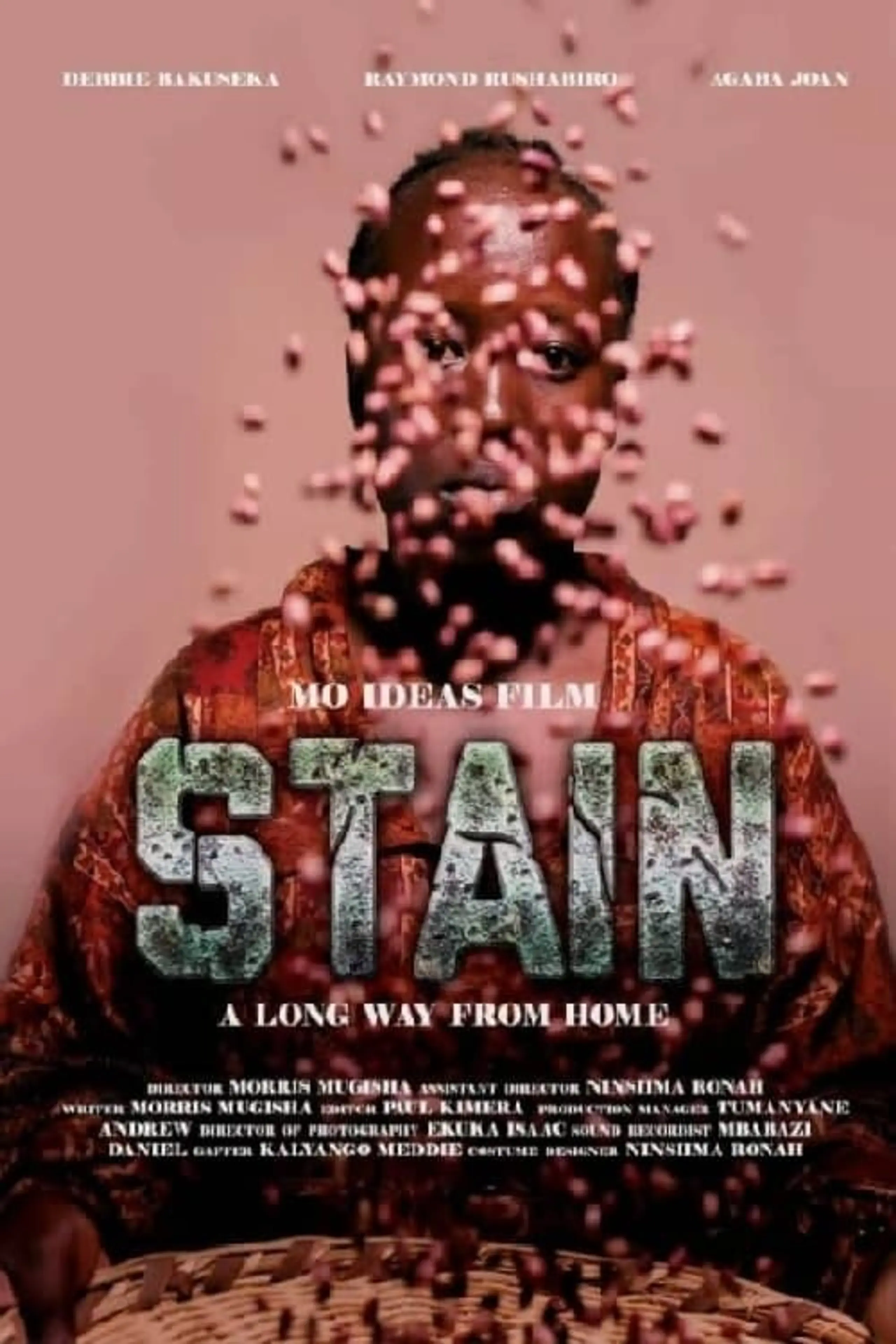 Stain