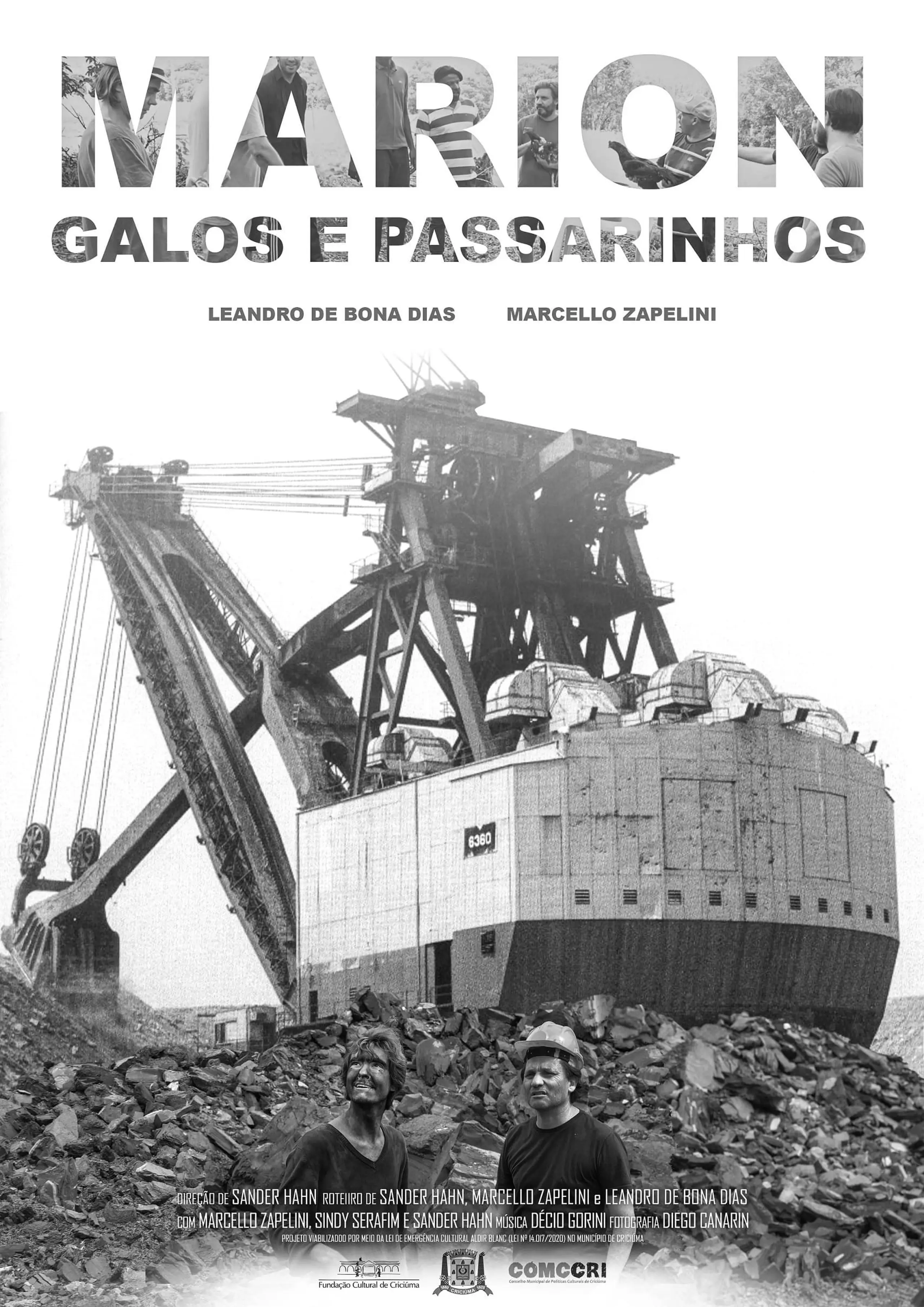 Marion, Galos e Passarinhos