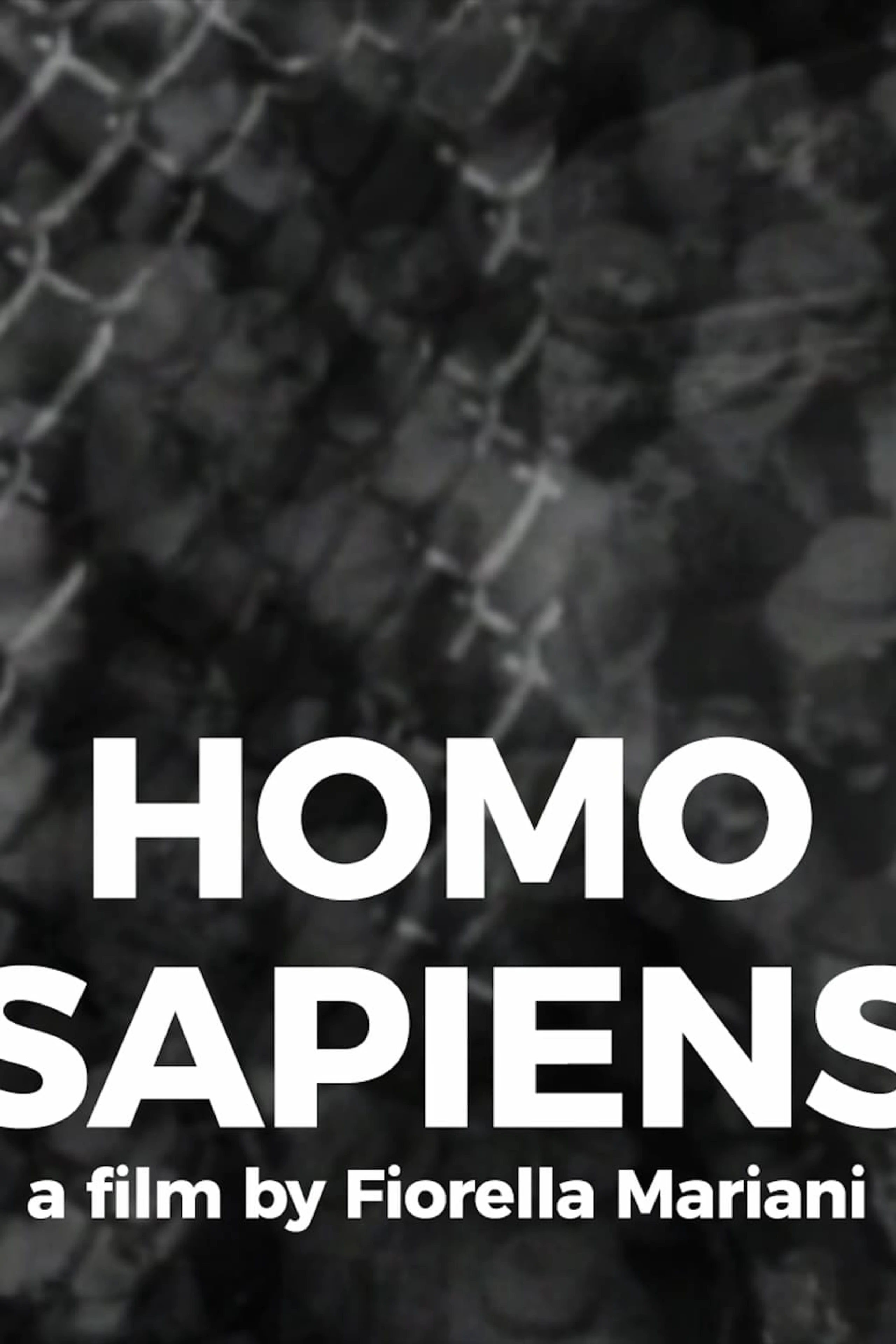 Homo Sapiens