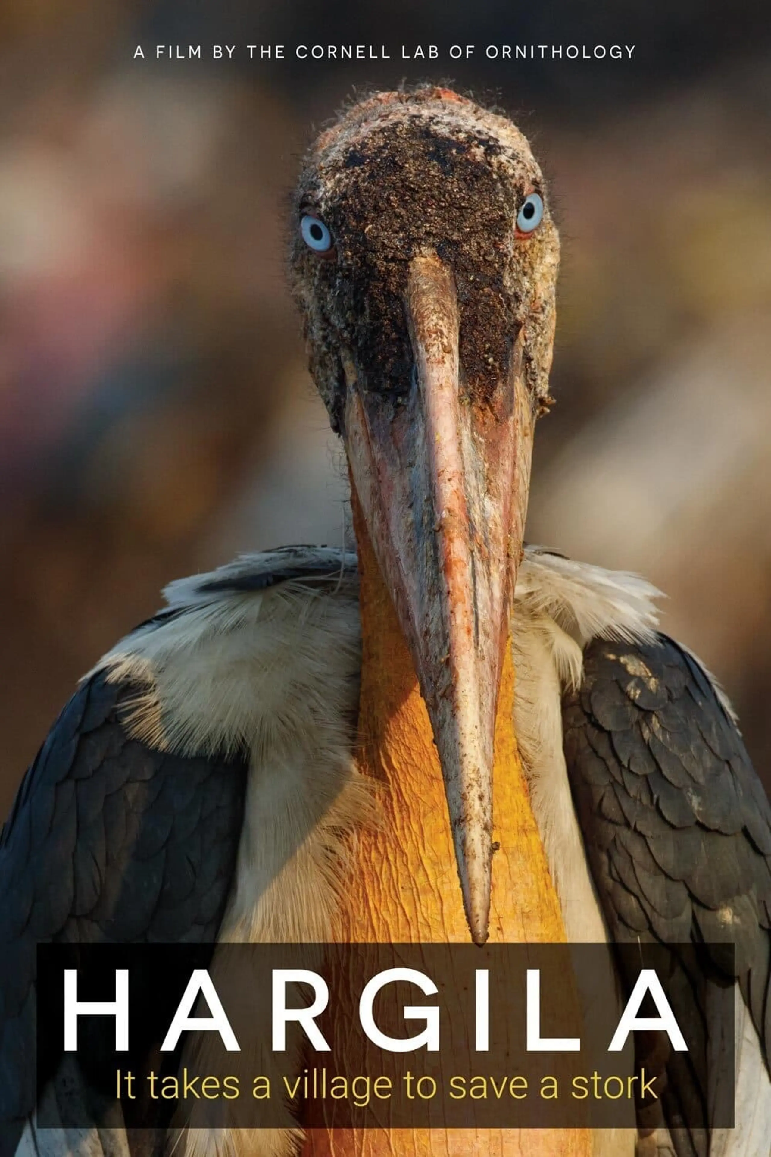 Hargila: Der Storch und die Frauen