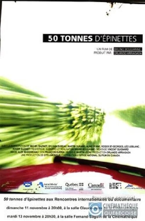 50 tonnes d'épinettes