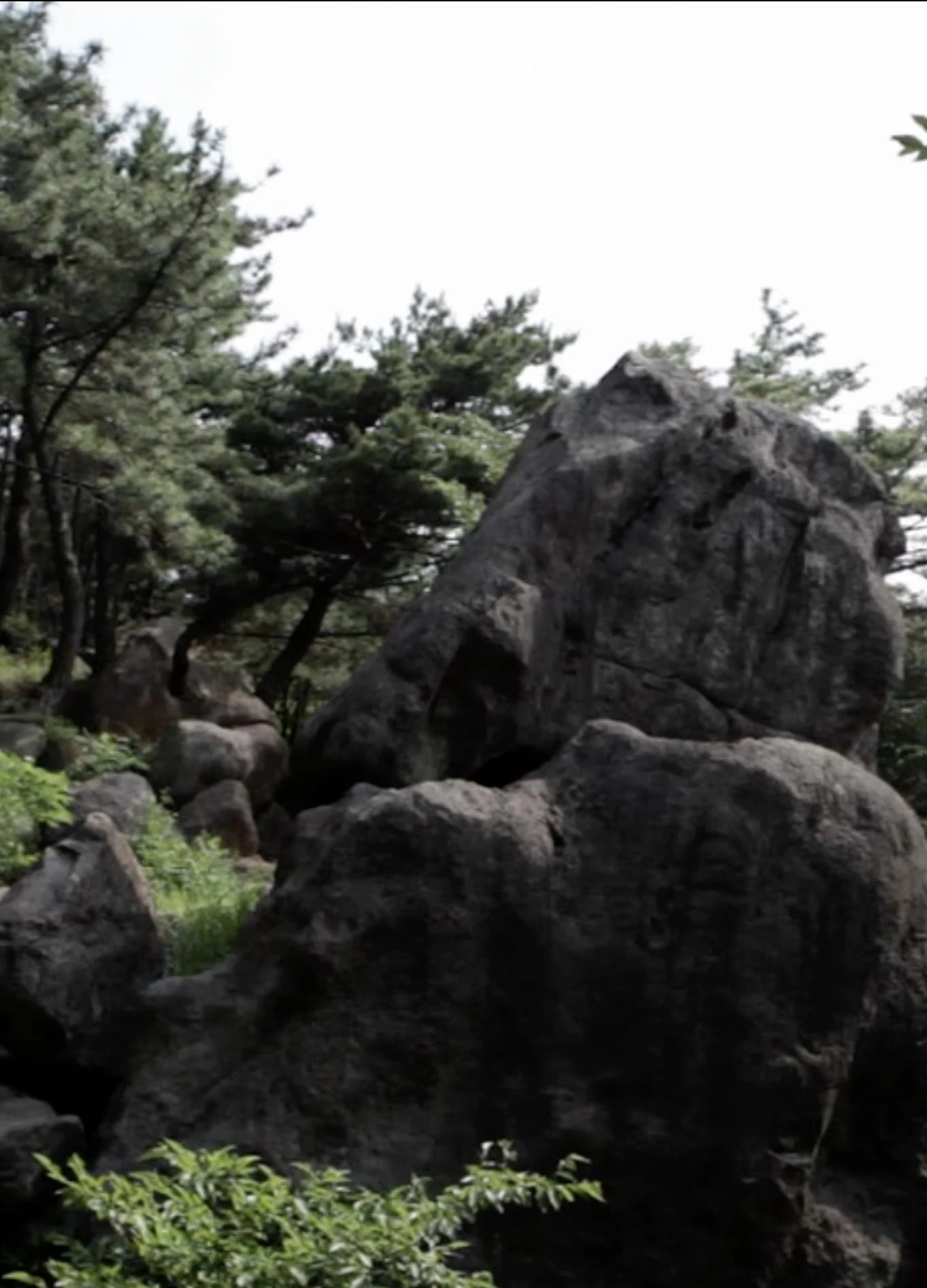 재
