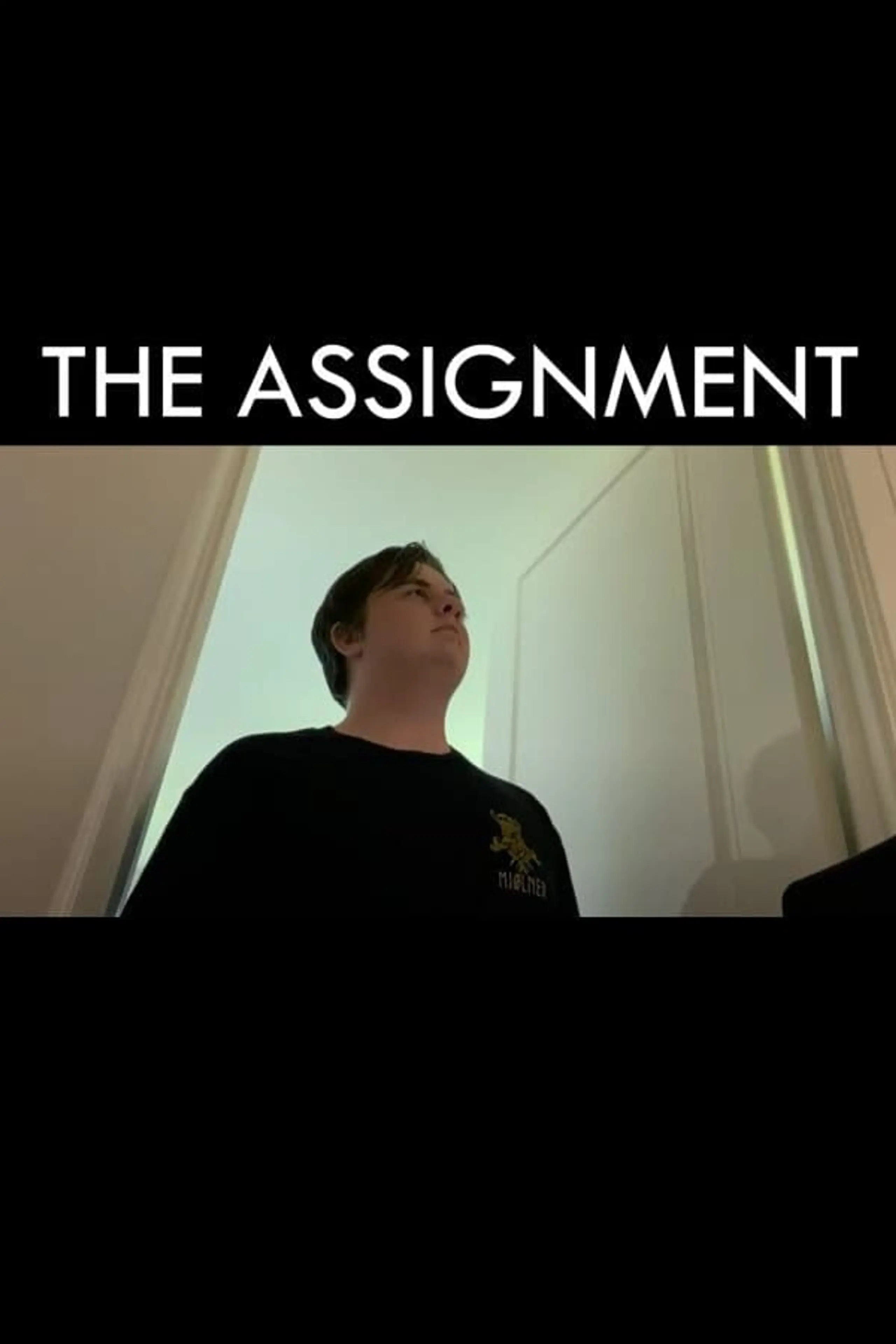 The Assignment