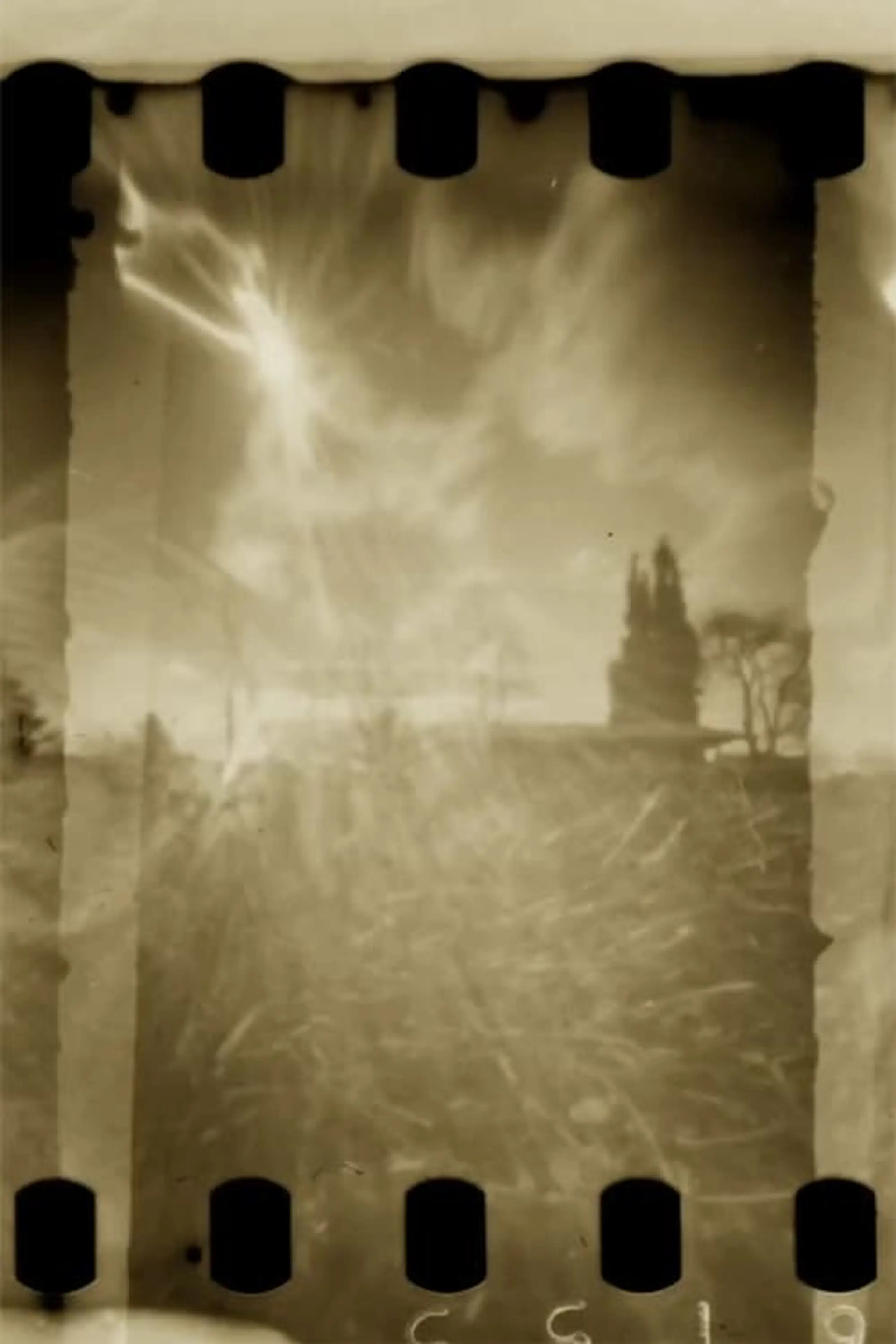 Pinhole Park