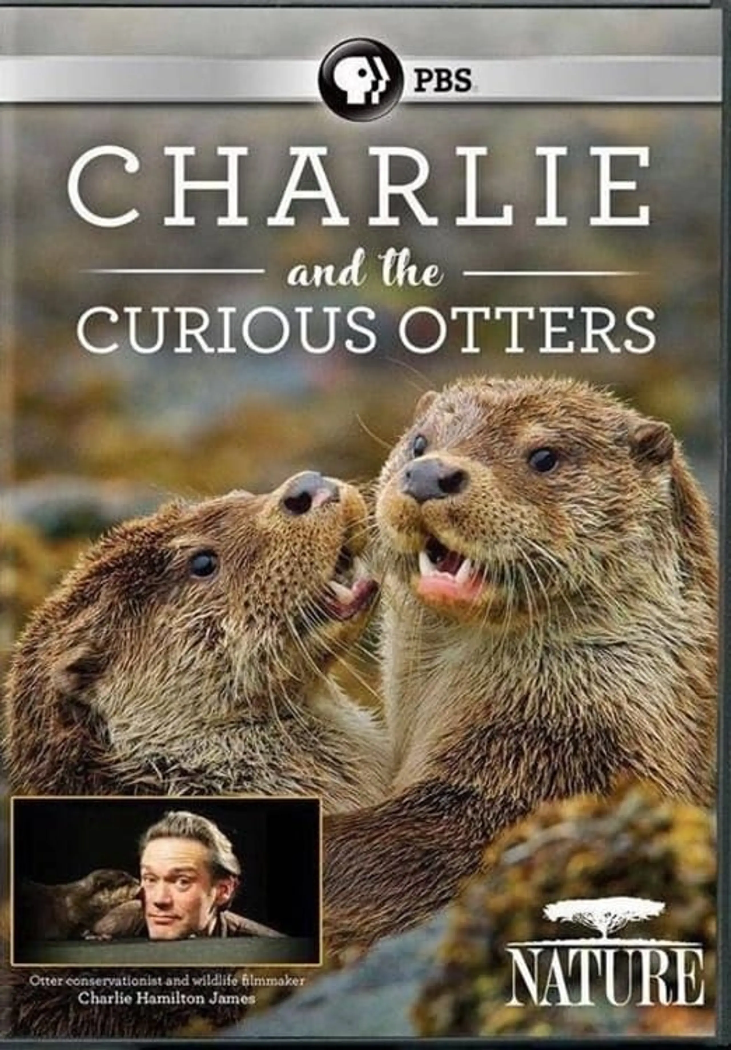 Charlie and the Curious Otters