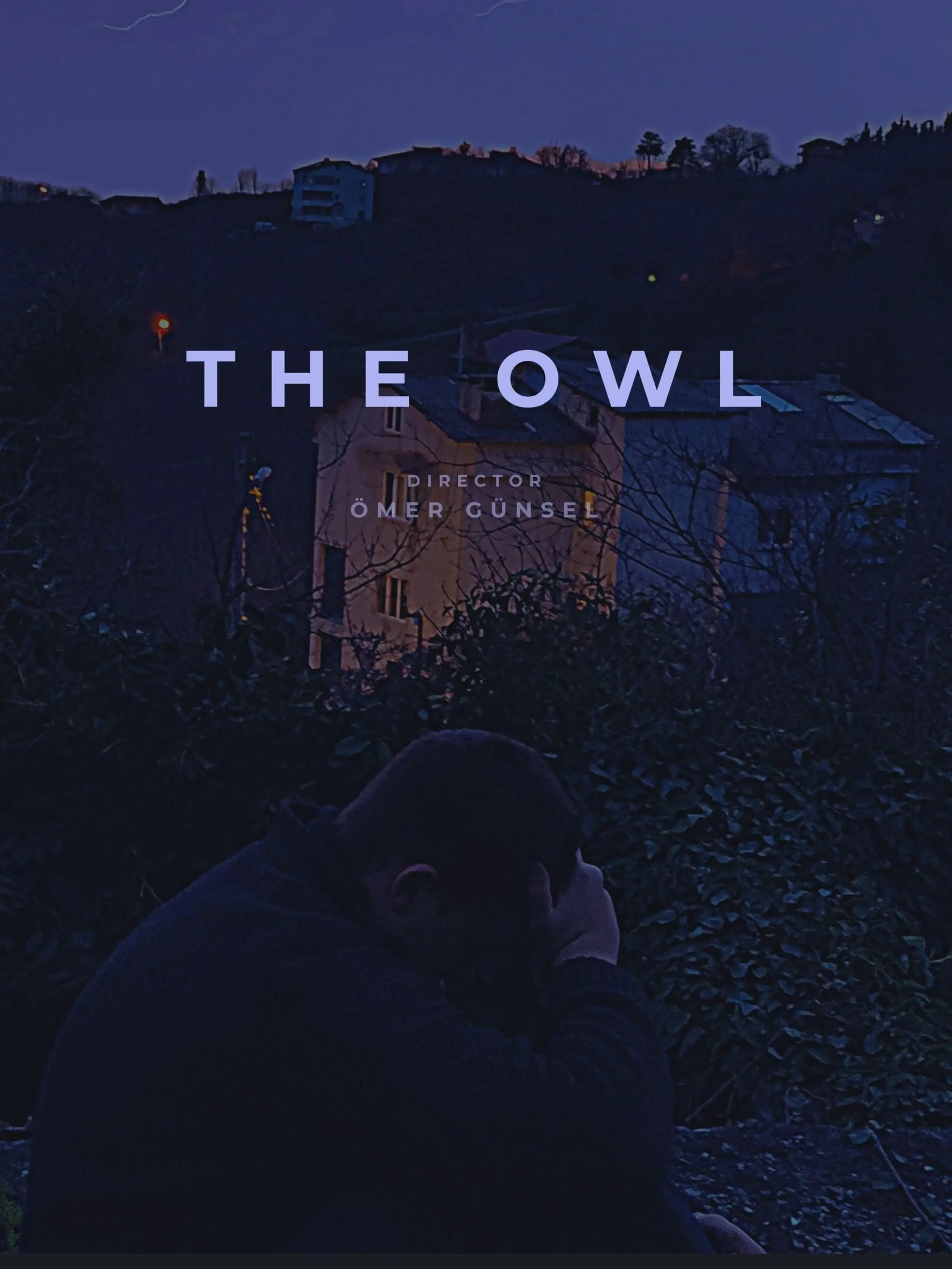 The Owl