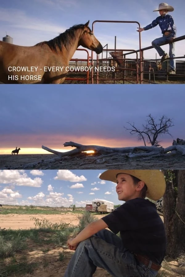 Crowley - Jeder Cowboy braucht sein Pferd