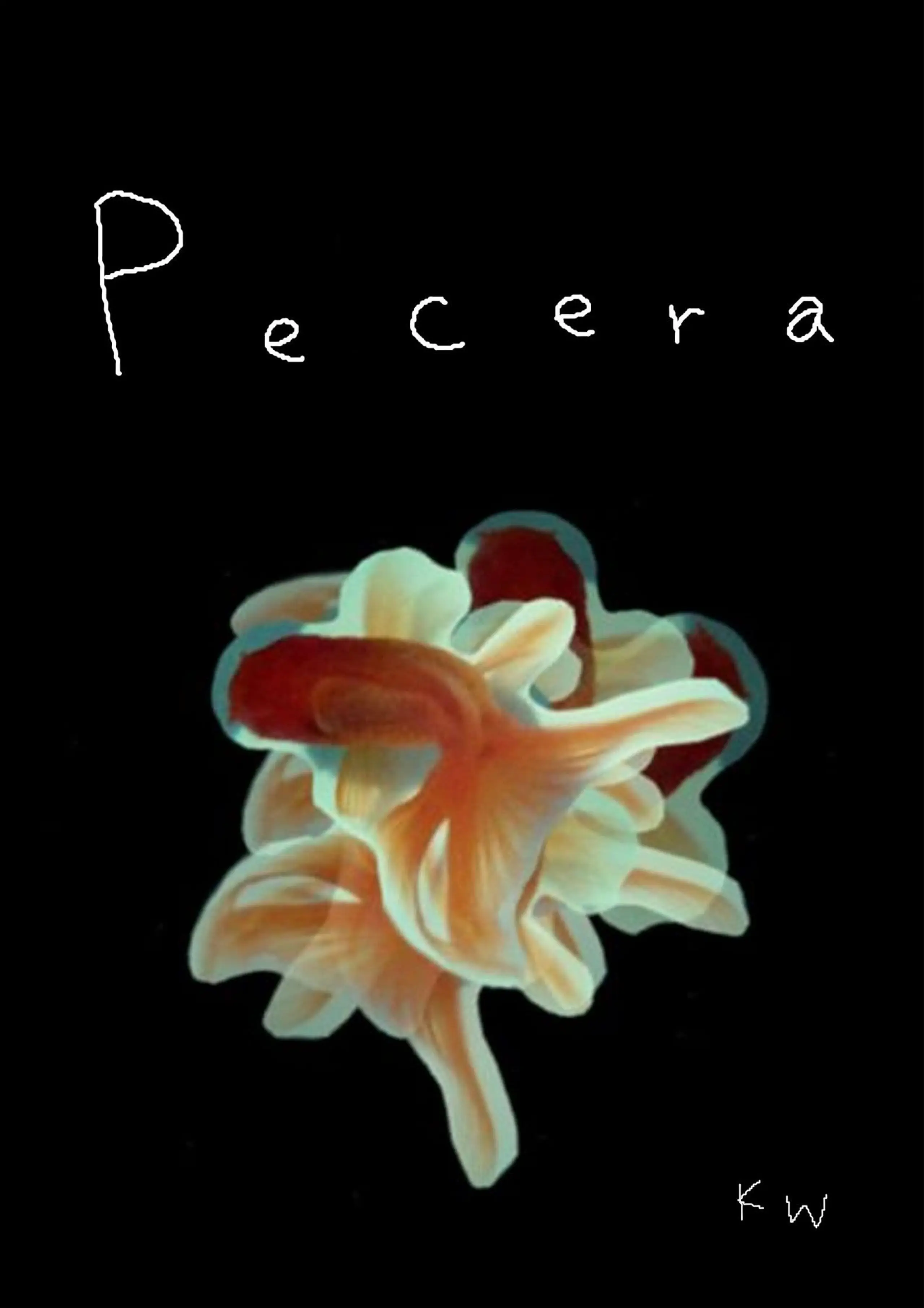 Pecera