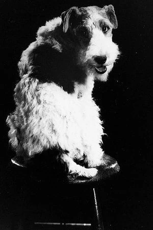 Foto von Skippy