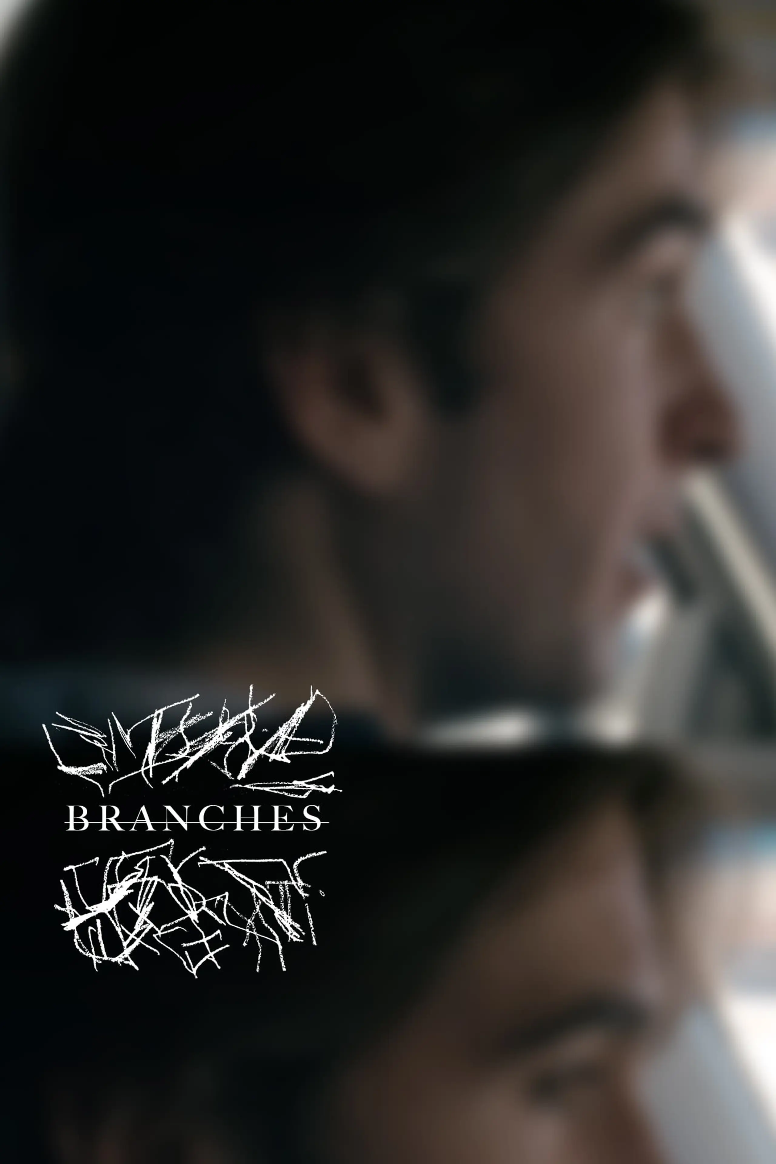 Branches