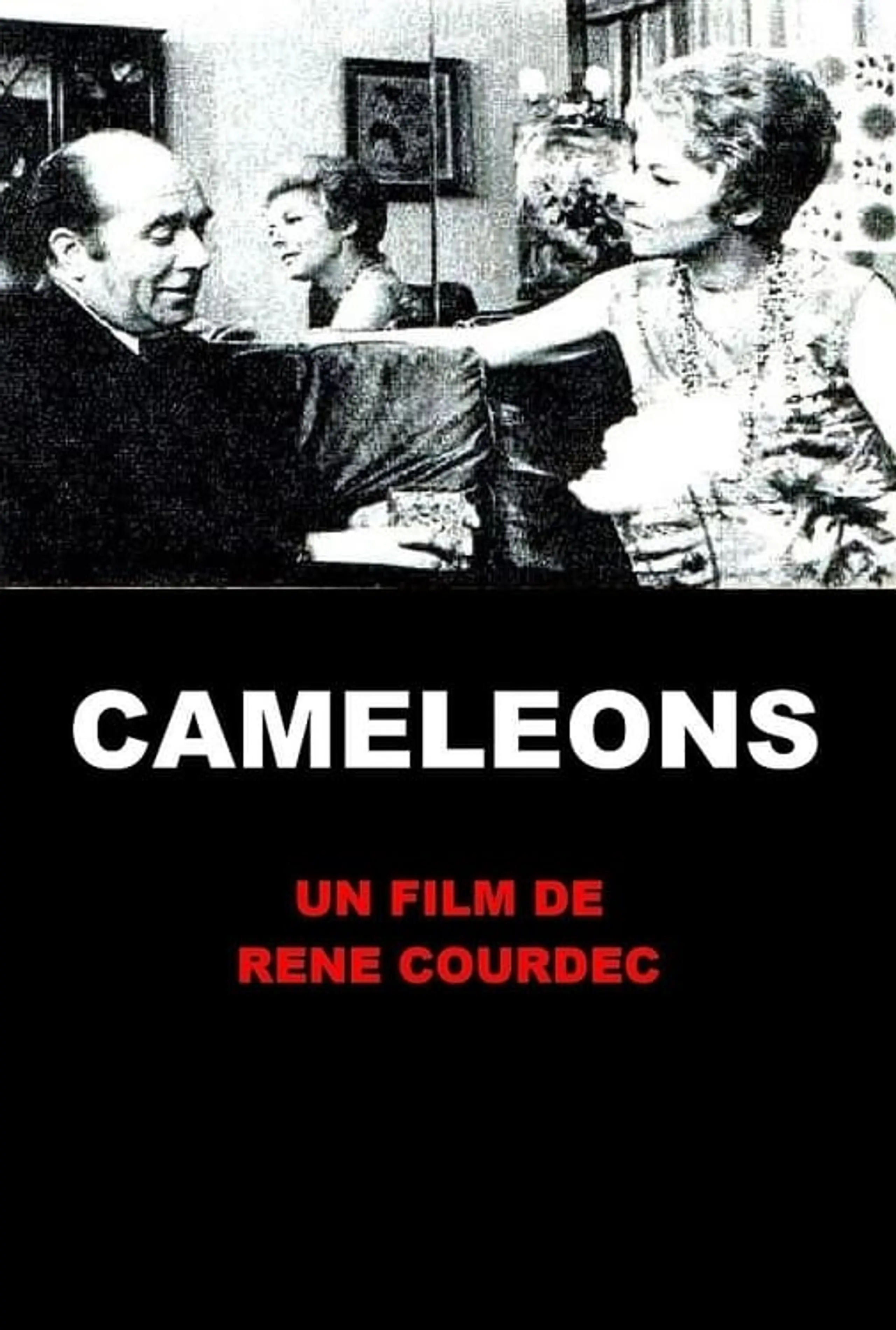 Caméléons