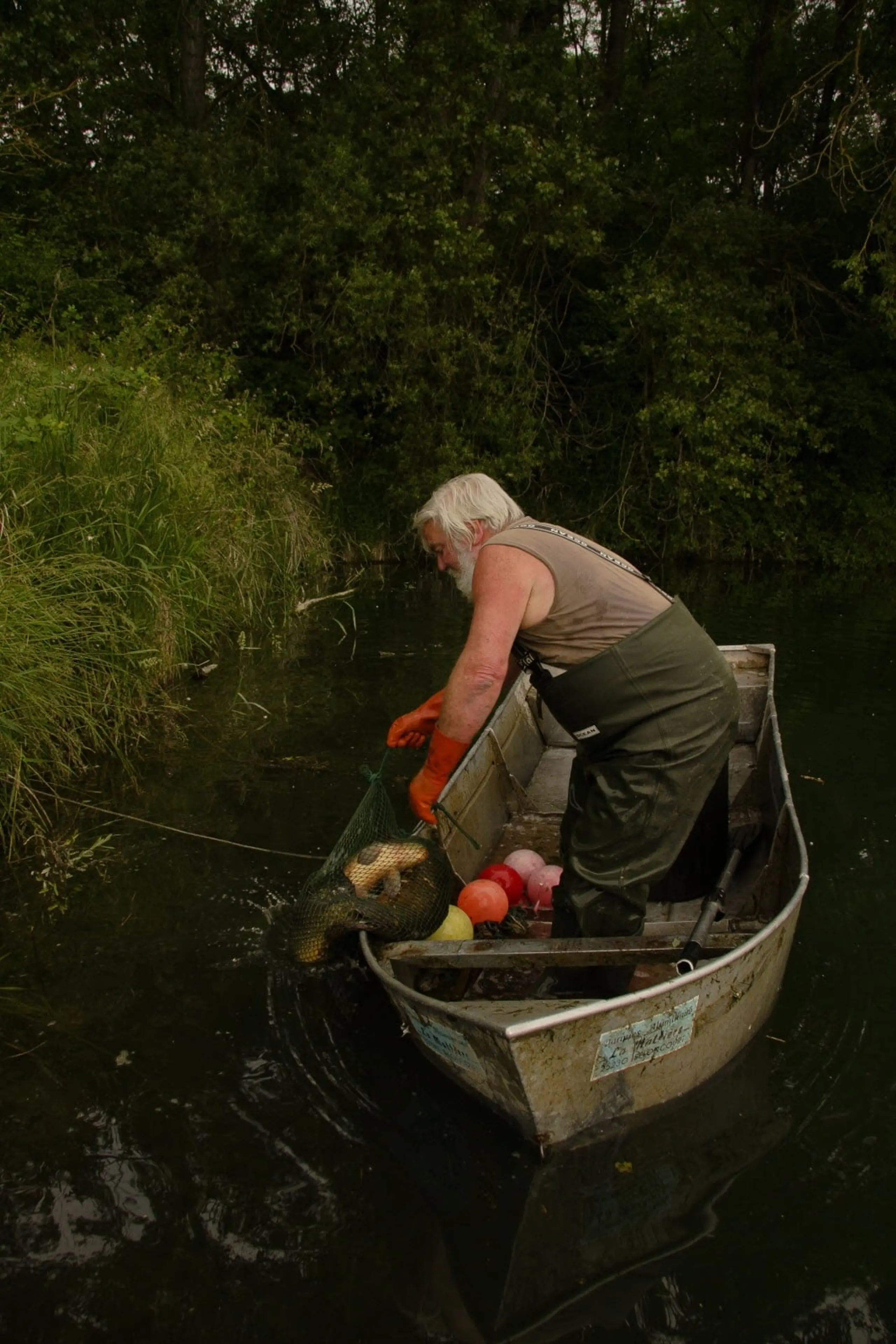 Le dernier pêcheur du Rhin