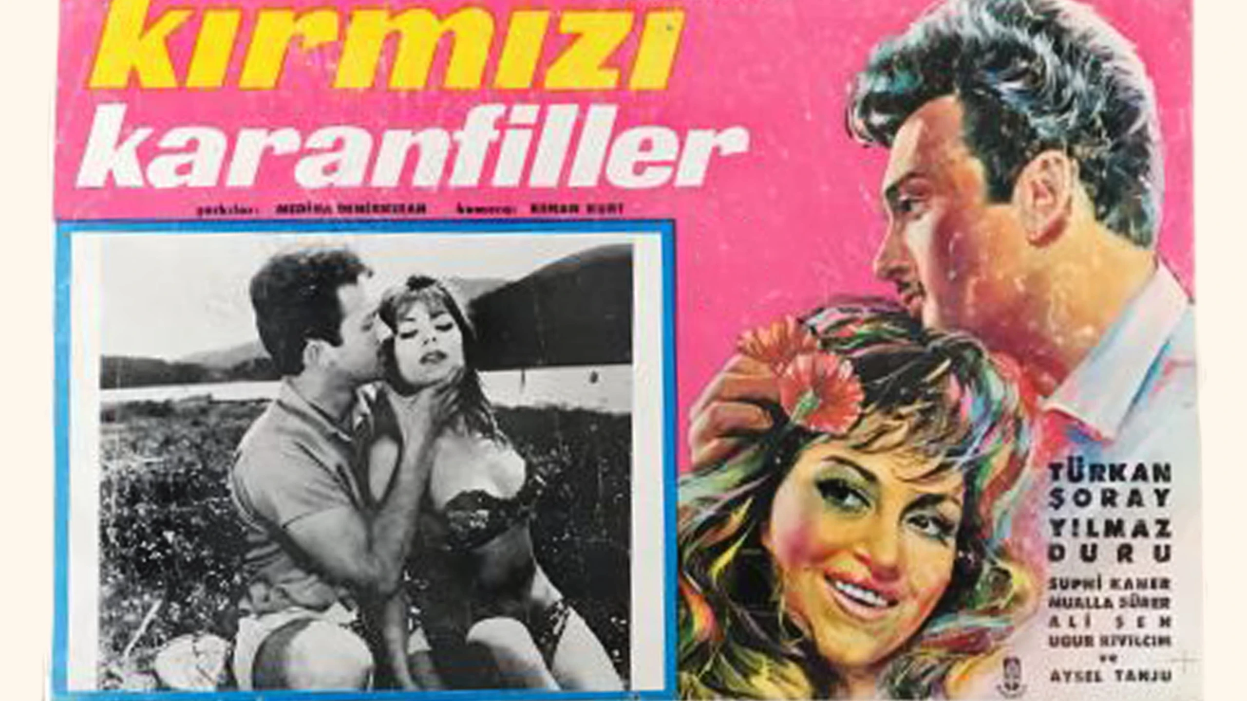 Kırmızı Karanfiller