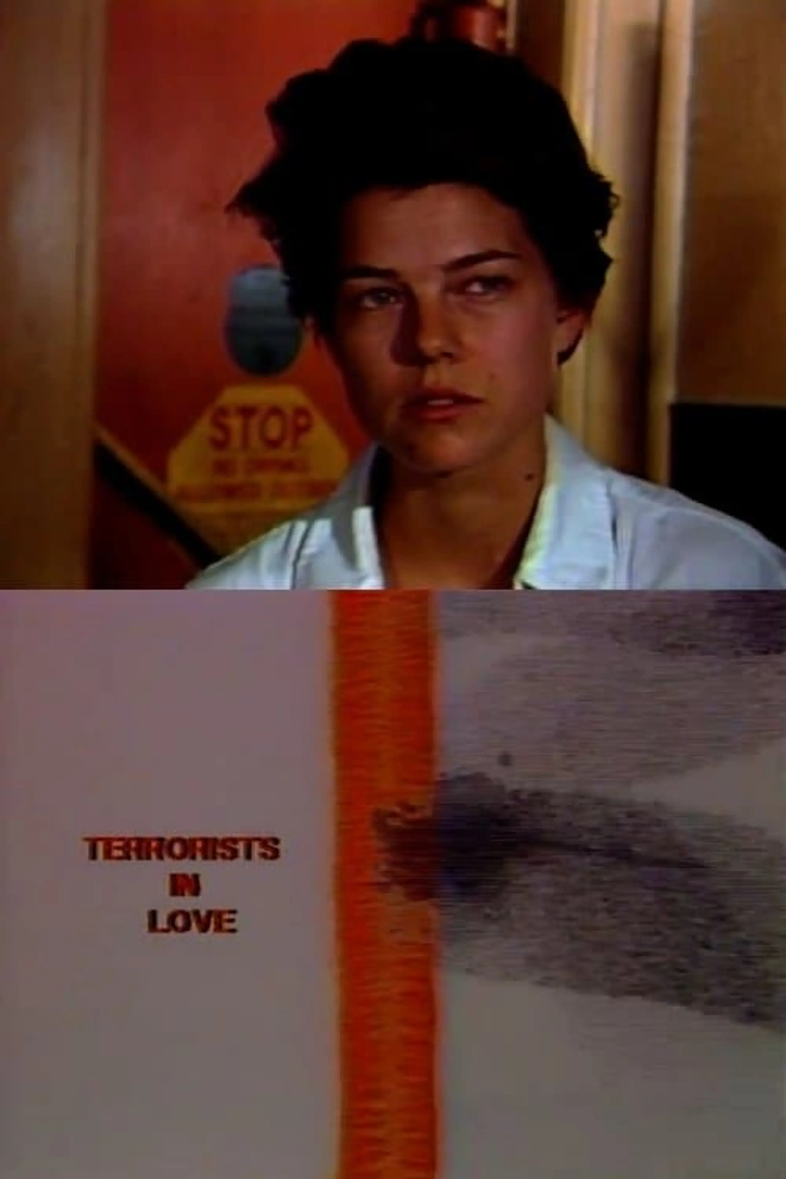 Terrorists in Love