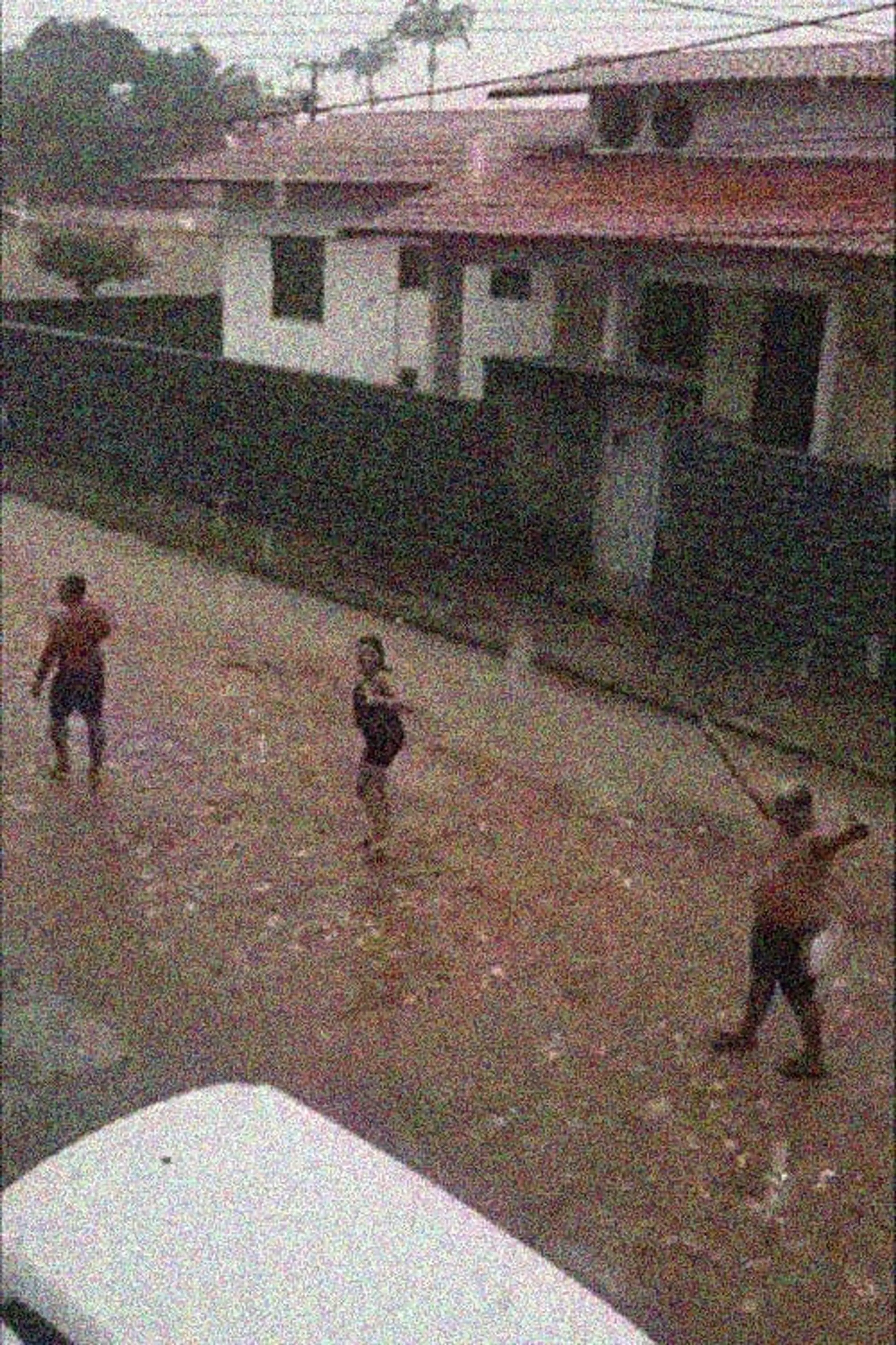 Como as primeiras chuvas de caju