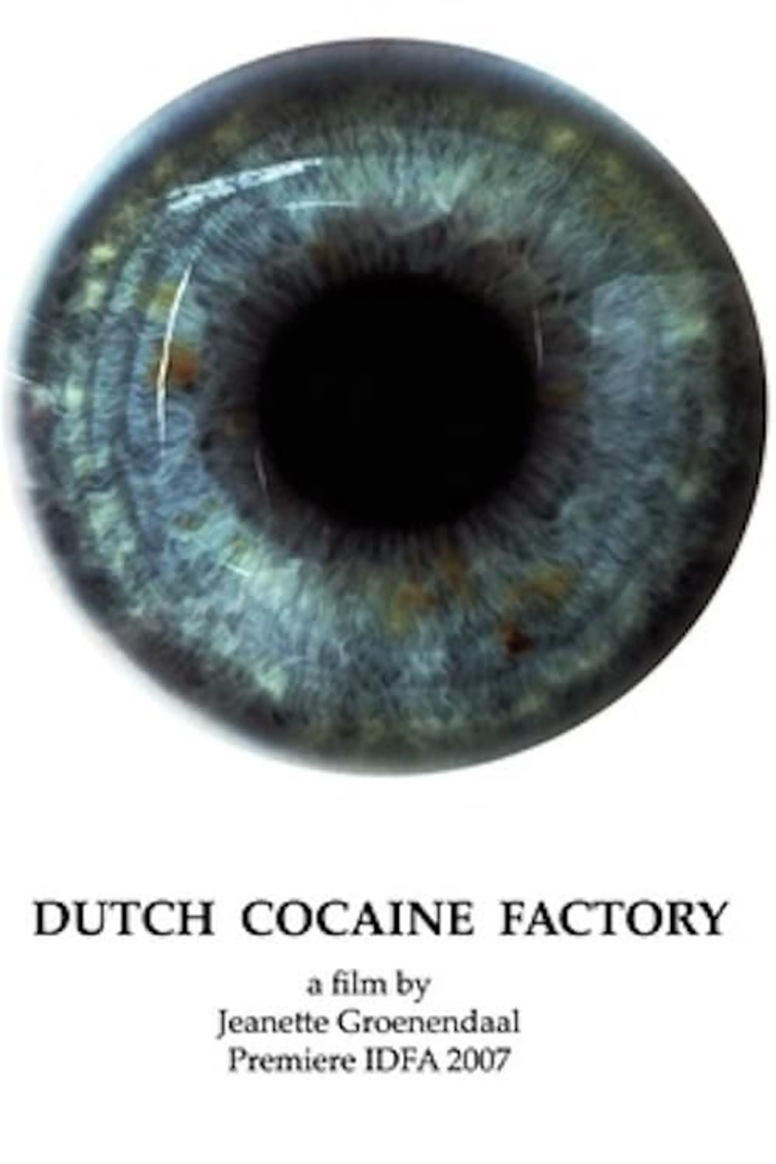 De Nederlandse Cocaïne Fabriek