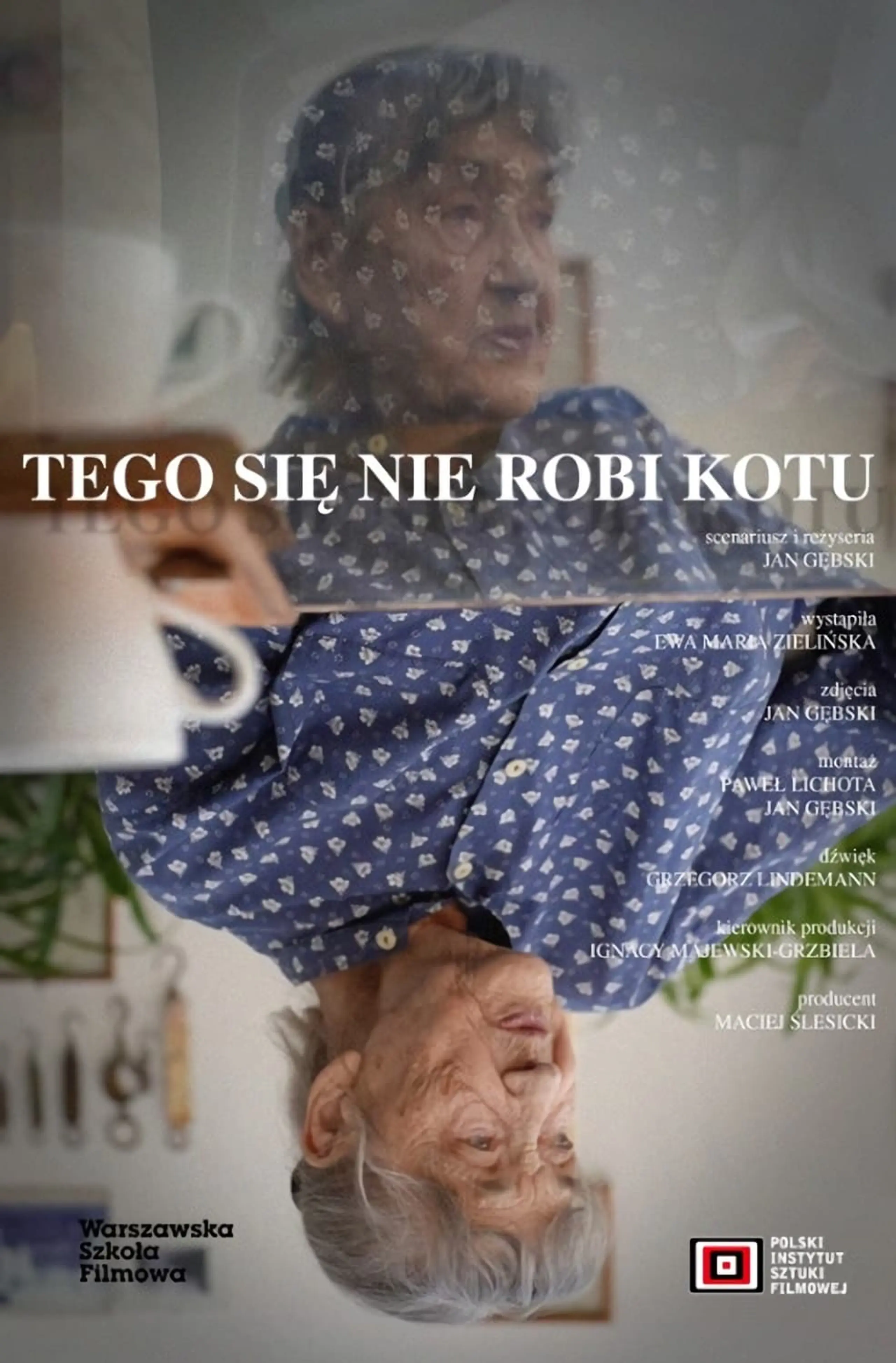 Tego się nie robi kotu