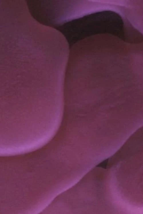 Azúcar y saliva y vapor